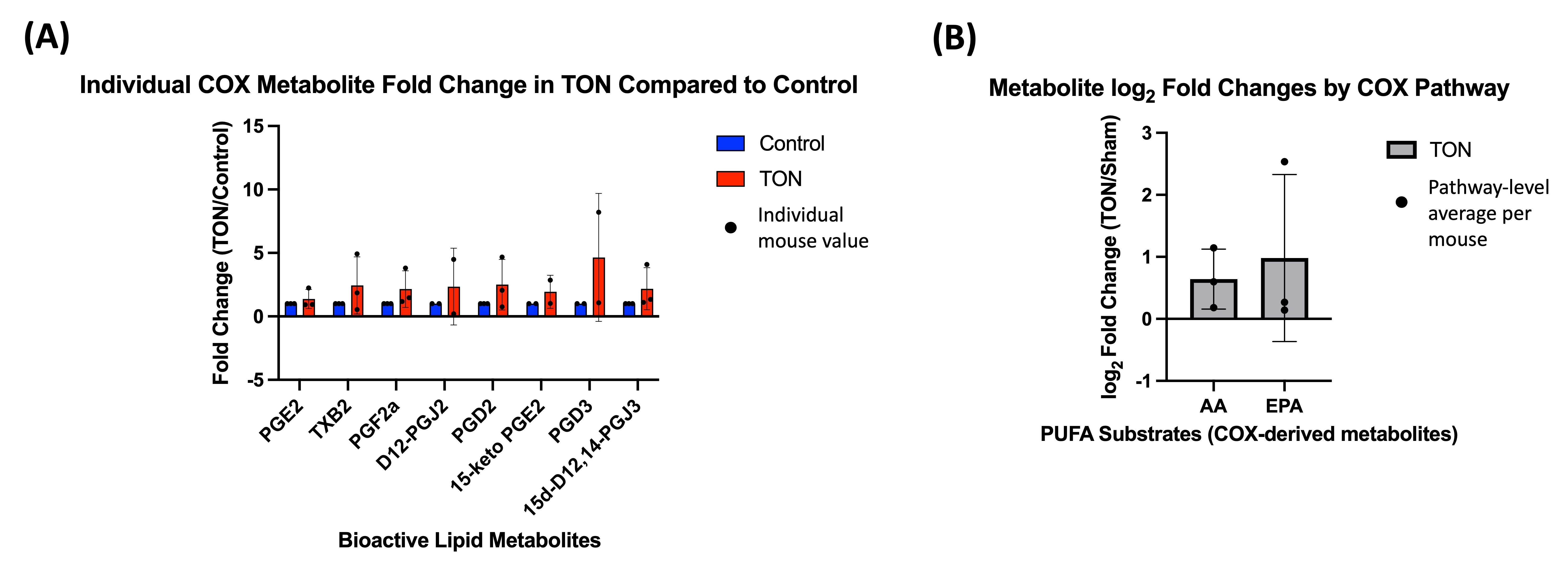 Biomolecules 15 01450 g004 Biomolecules 15 01450 g004