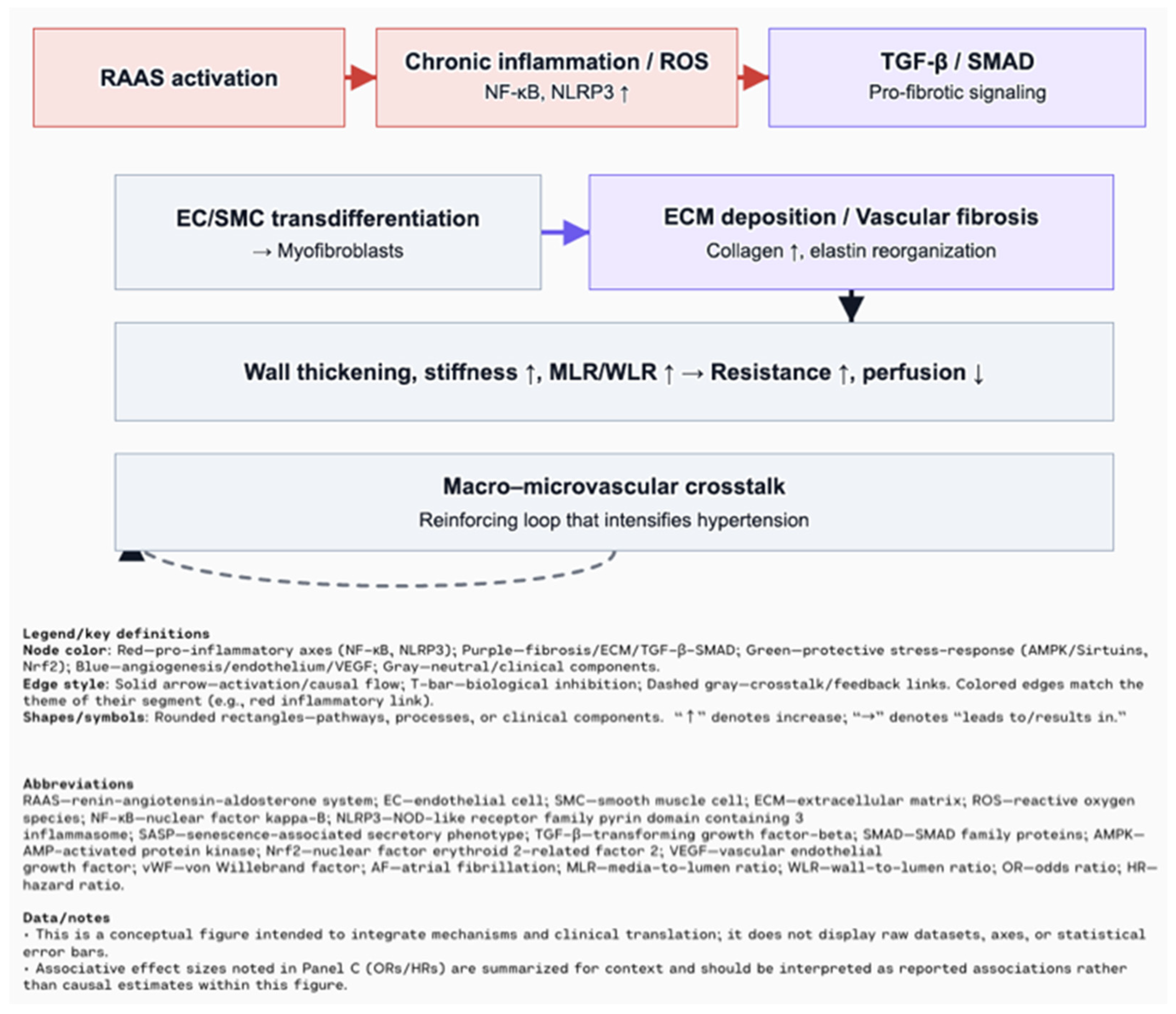 Biomolecules 15 01452 g002 Biomolecules 15 01452 g002