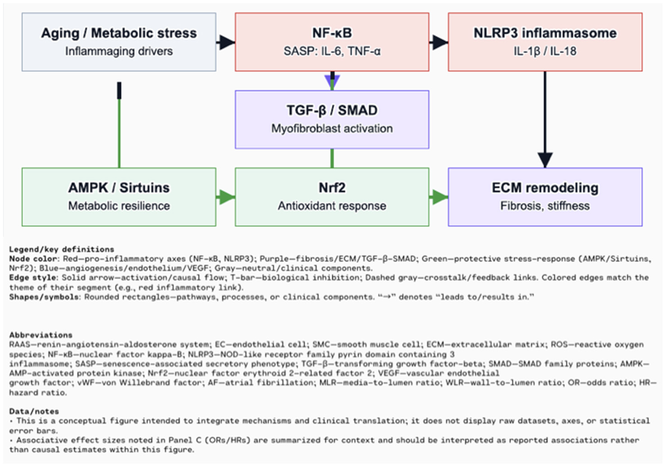 Biomolecules 15 01452 g003 Biomolecules 15 01452 g003