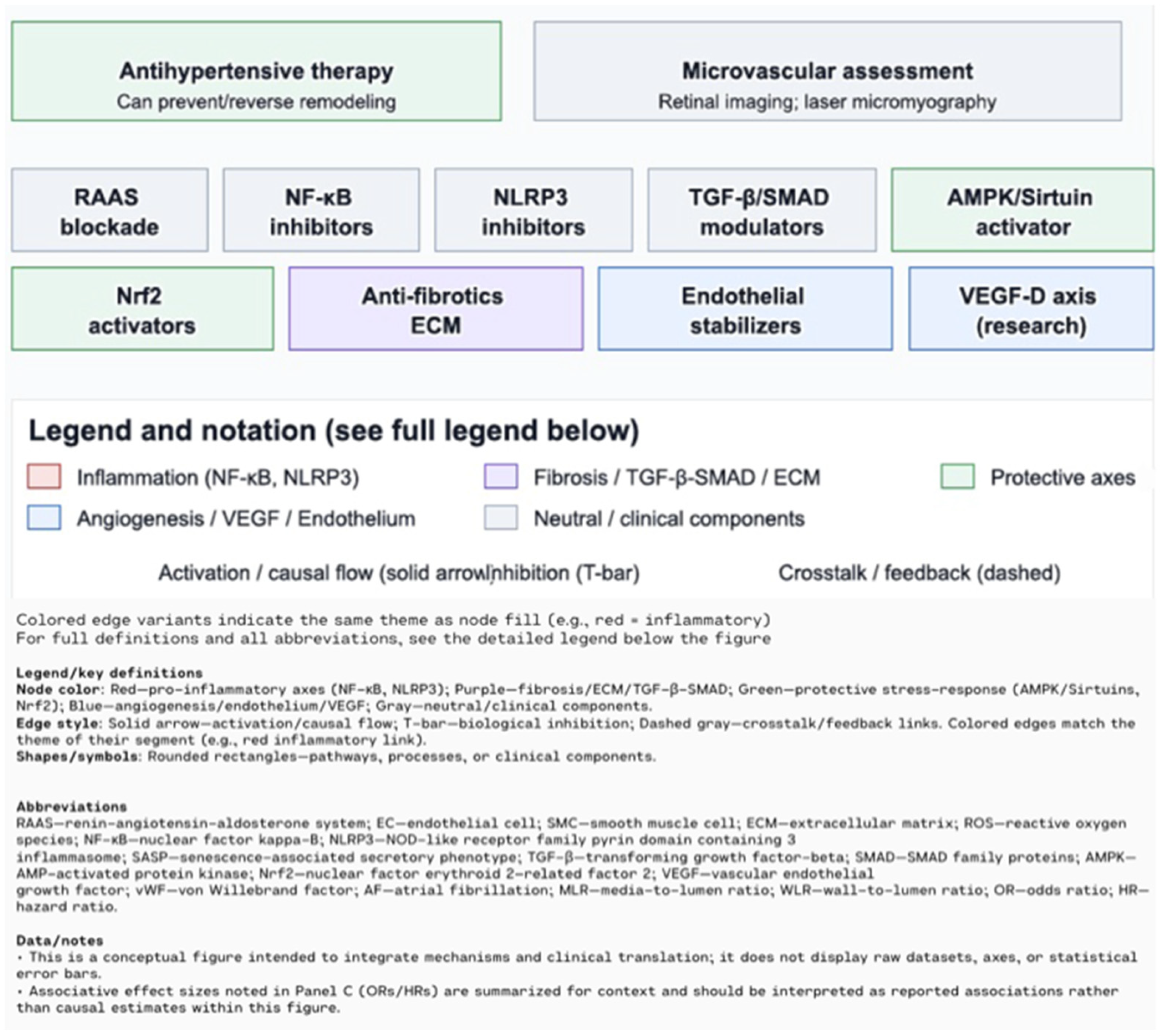 Biomolecules 15 01452 g004 Biomolecules 15 01452 g004