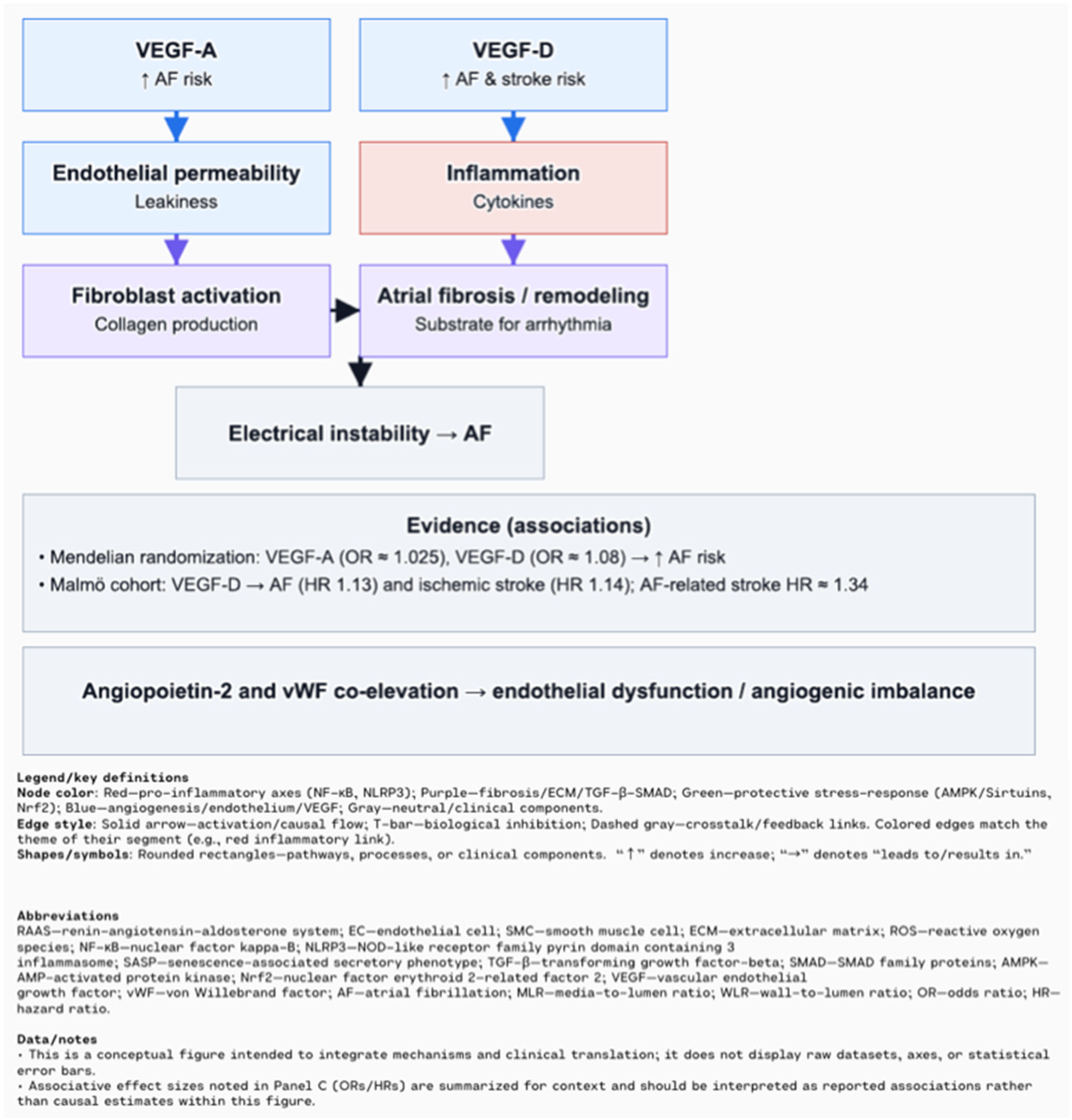 Biomolecules 15 01452 g005 Biomolecules 15 01452 g005