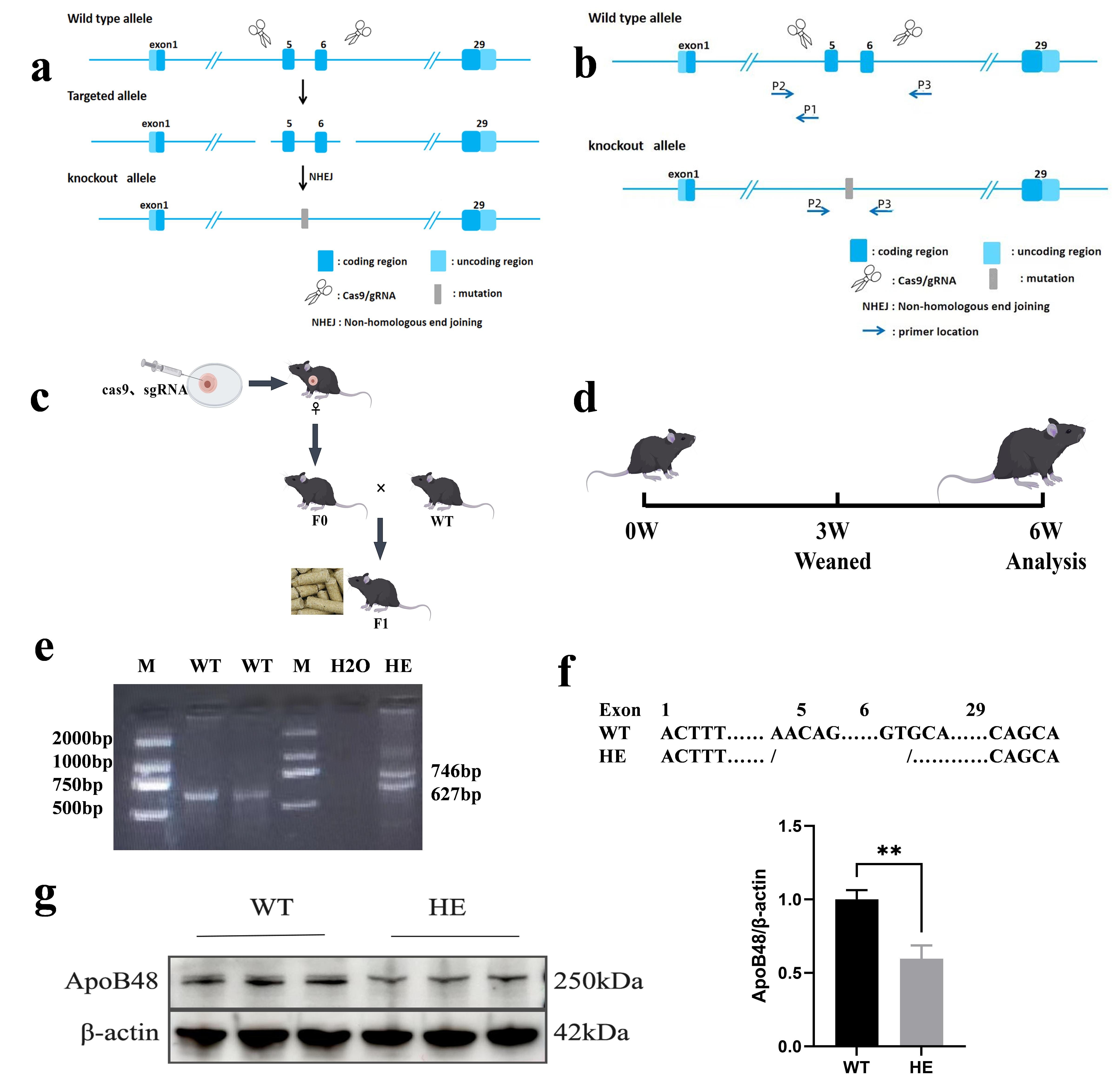Biomolecules 15 01454 g001