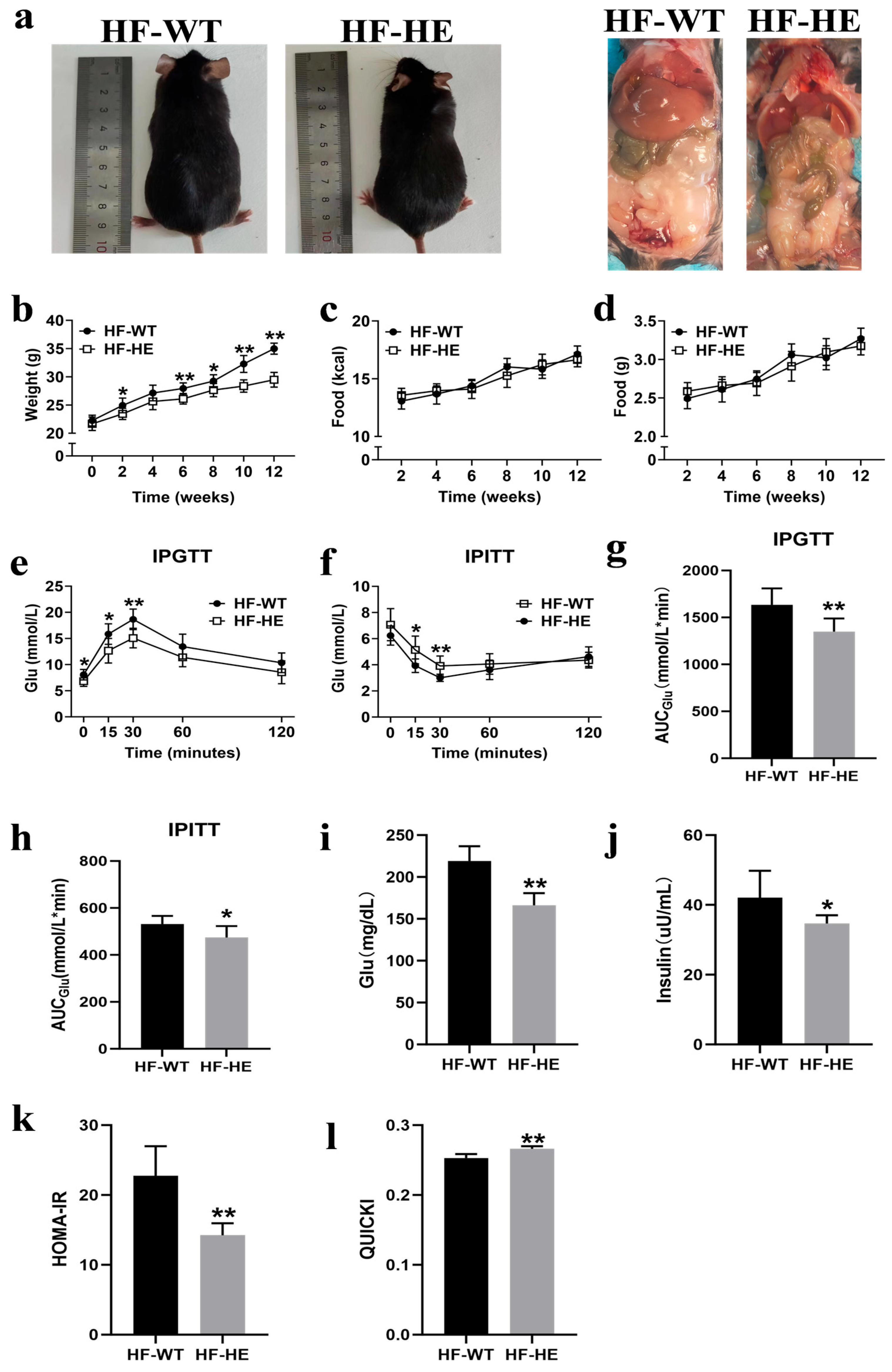 Biomolecules 15 01454 g002