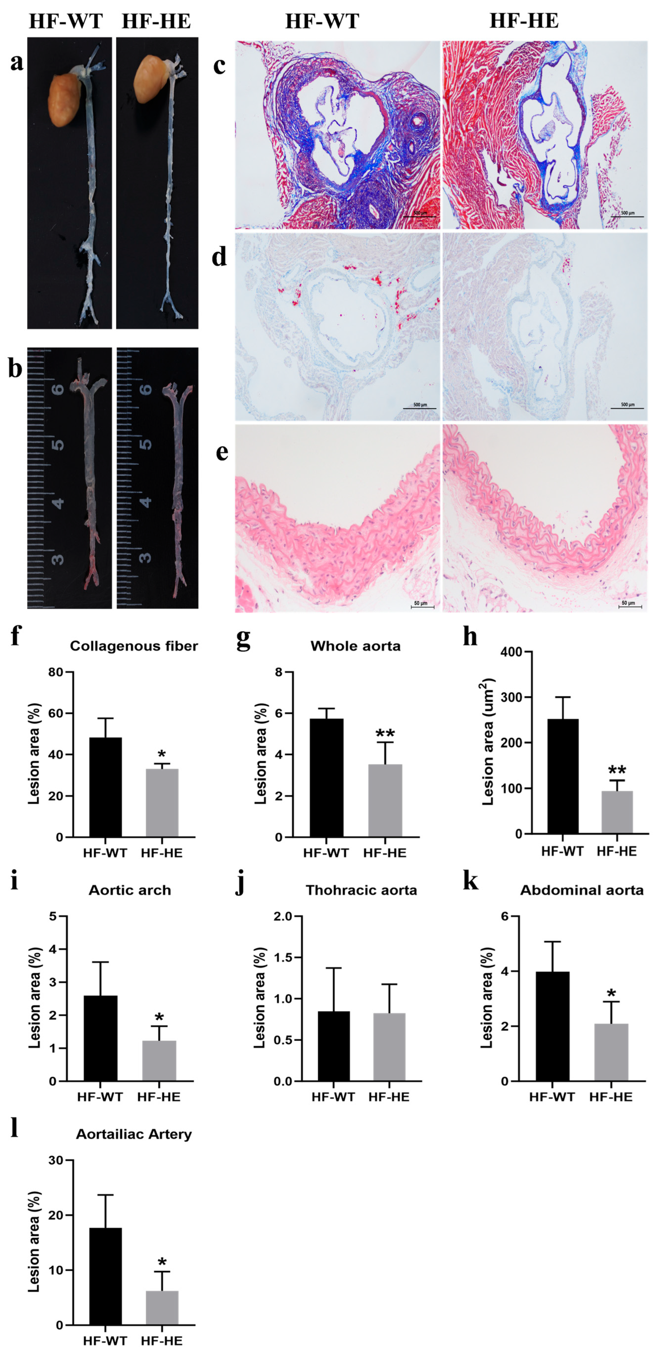 Biomolecules 15 01454 g004