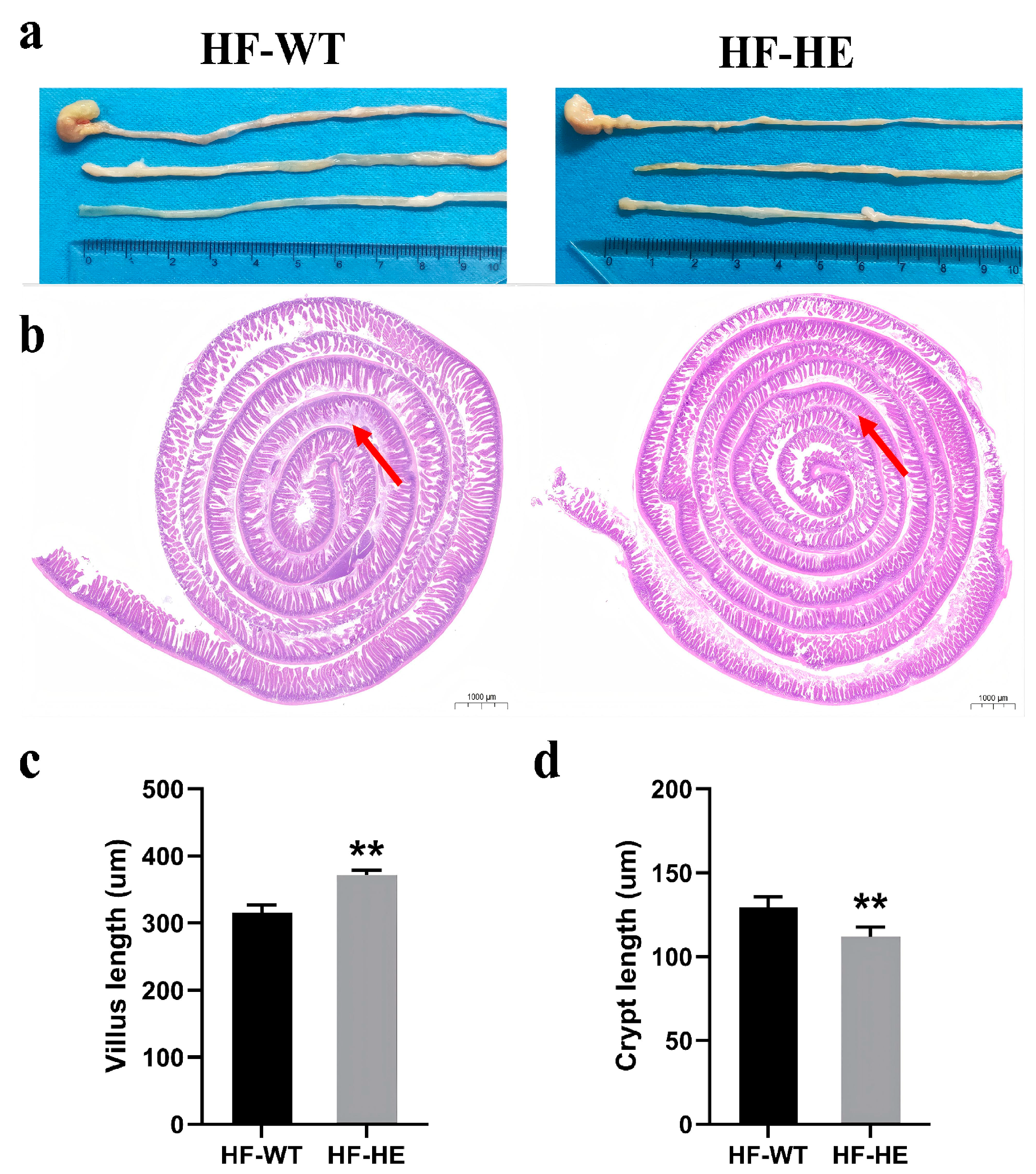 Biomolecules 15 01454 g005