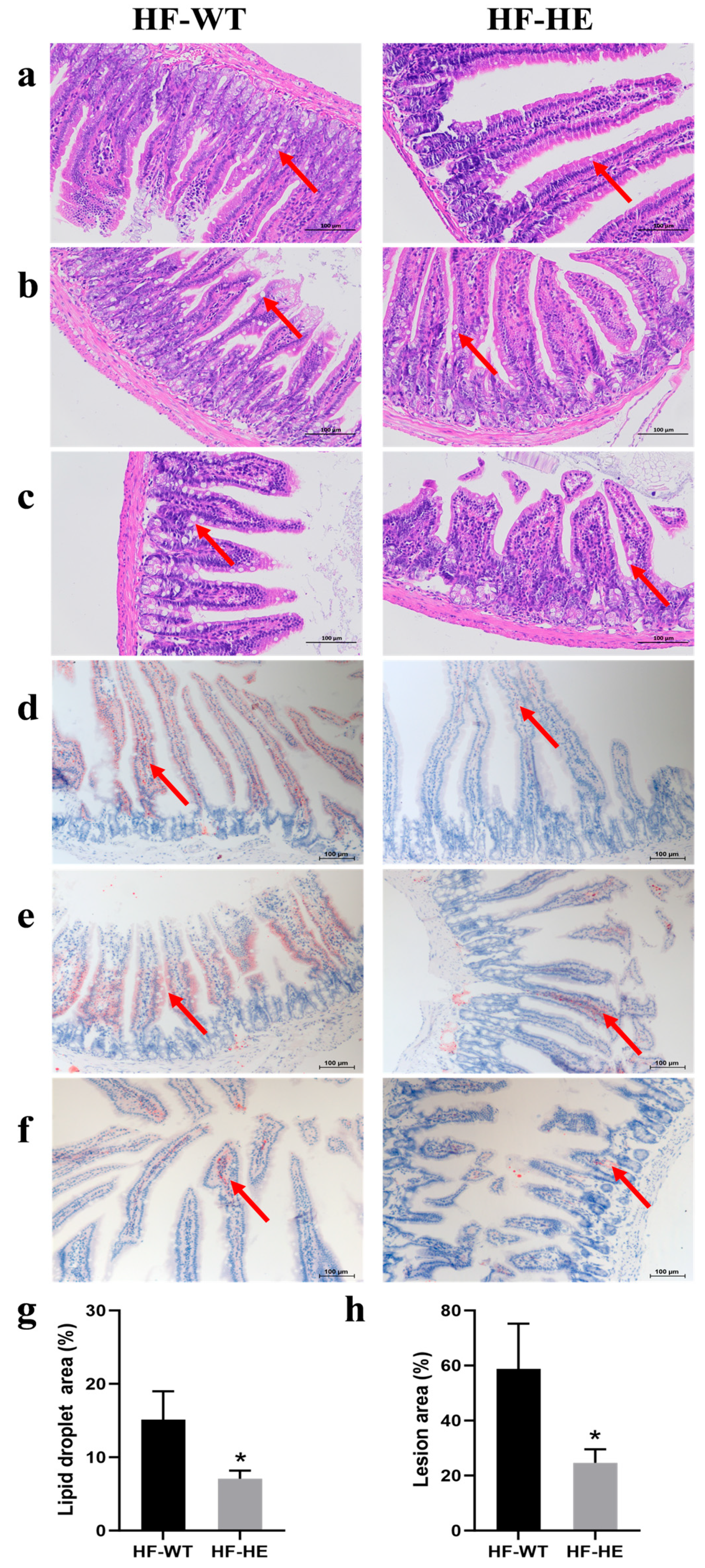Biomolecules 15 01454 g006