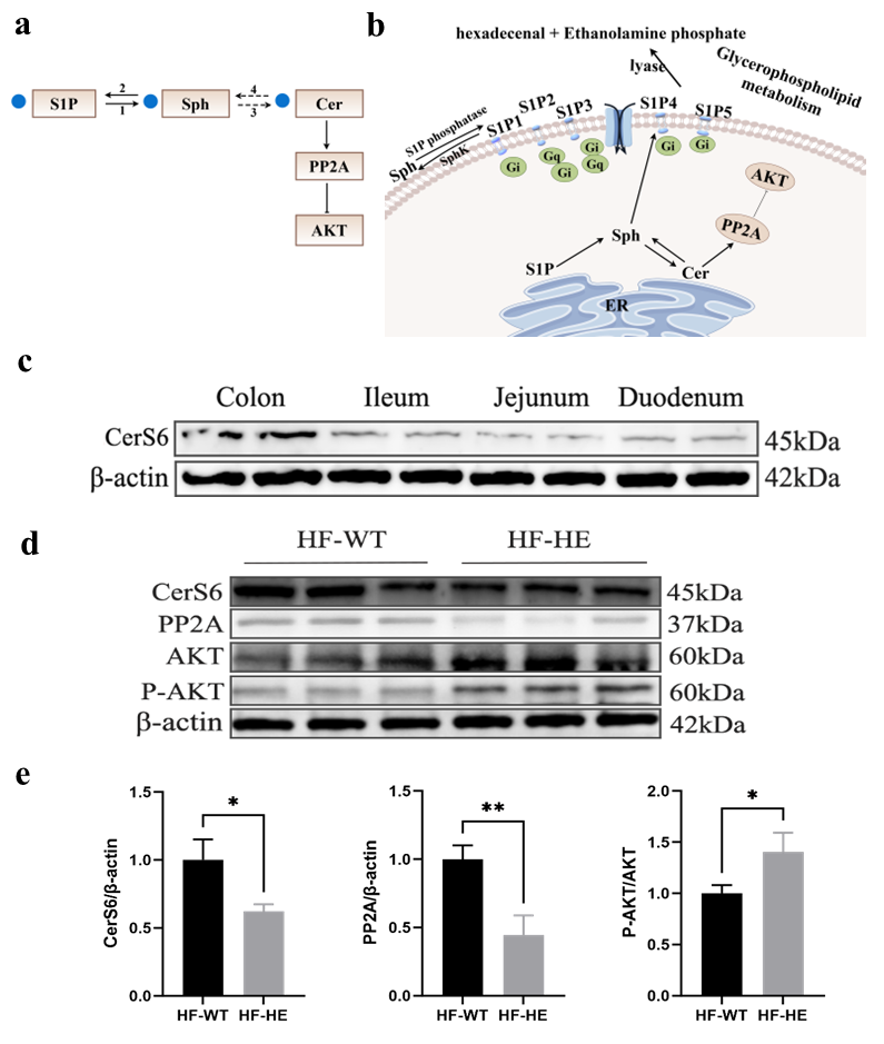 Biomolecules 15 01454 g010