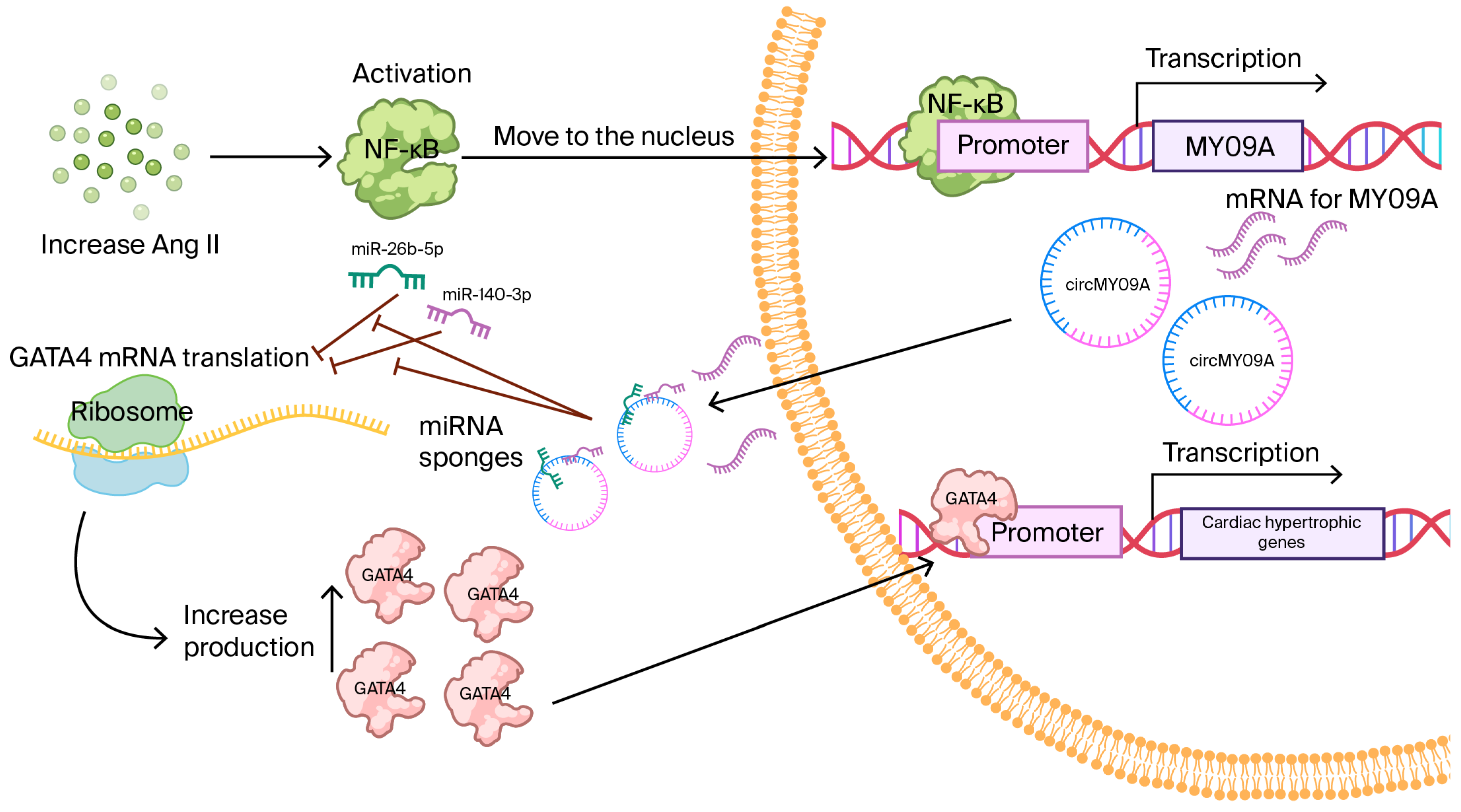 Biomolecules 15 01455 g003 Biomolecules 15 01455 g003