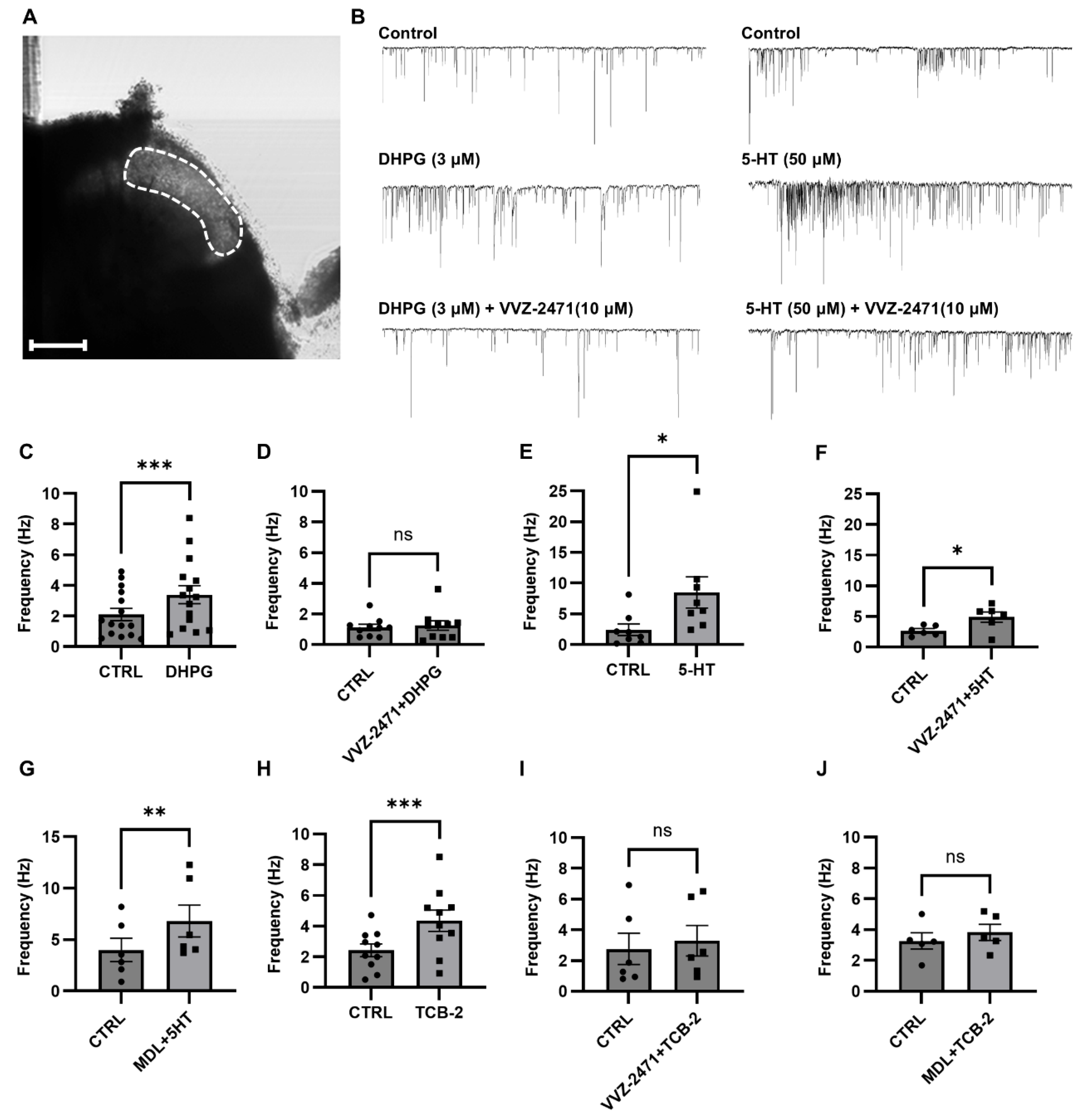 Biomolecules 15 01456 g003 Biomolecules 15 01456 g003