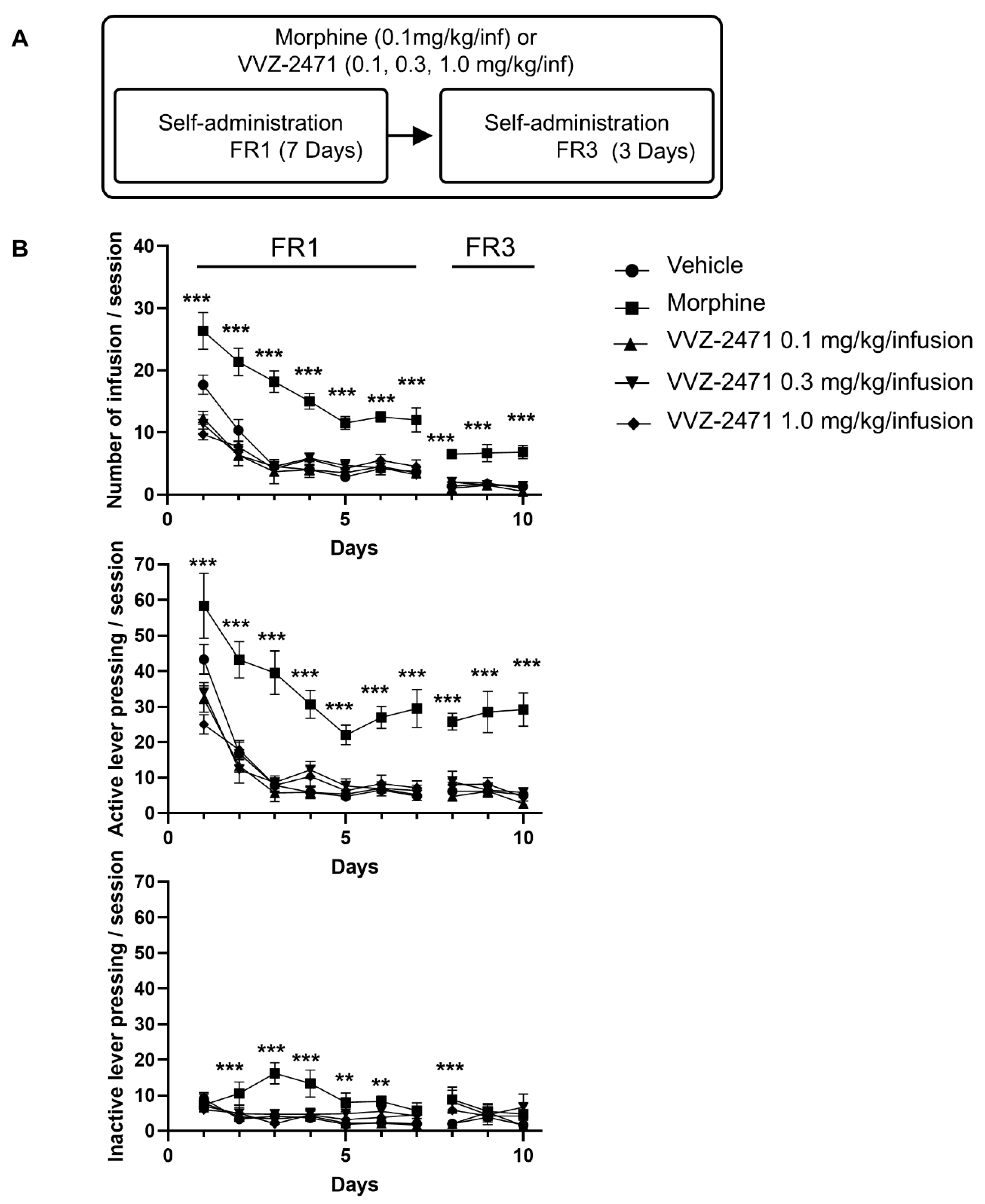 Biomolecules 15 01456 g007 Biomolecules 15 01456 g007