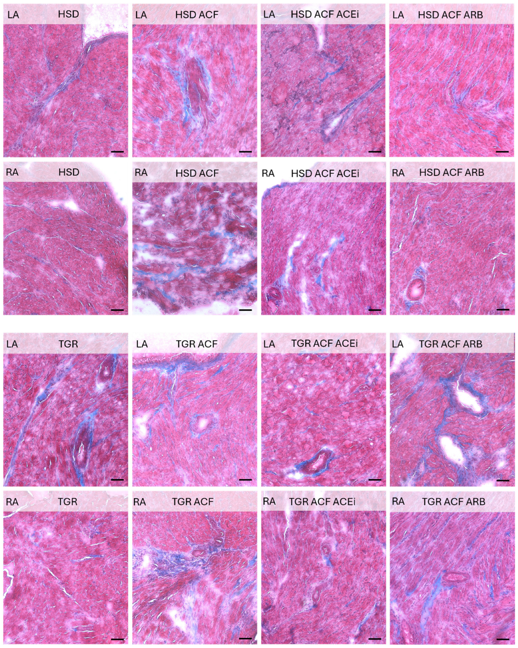 Biomolecules 15 01457 g002