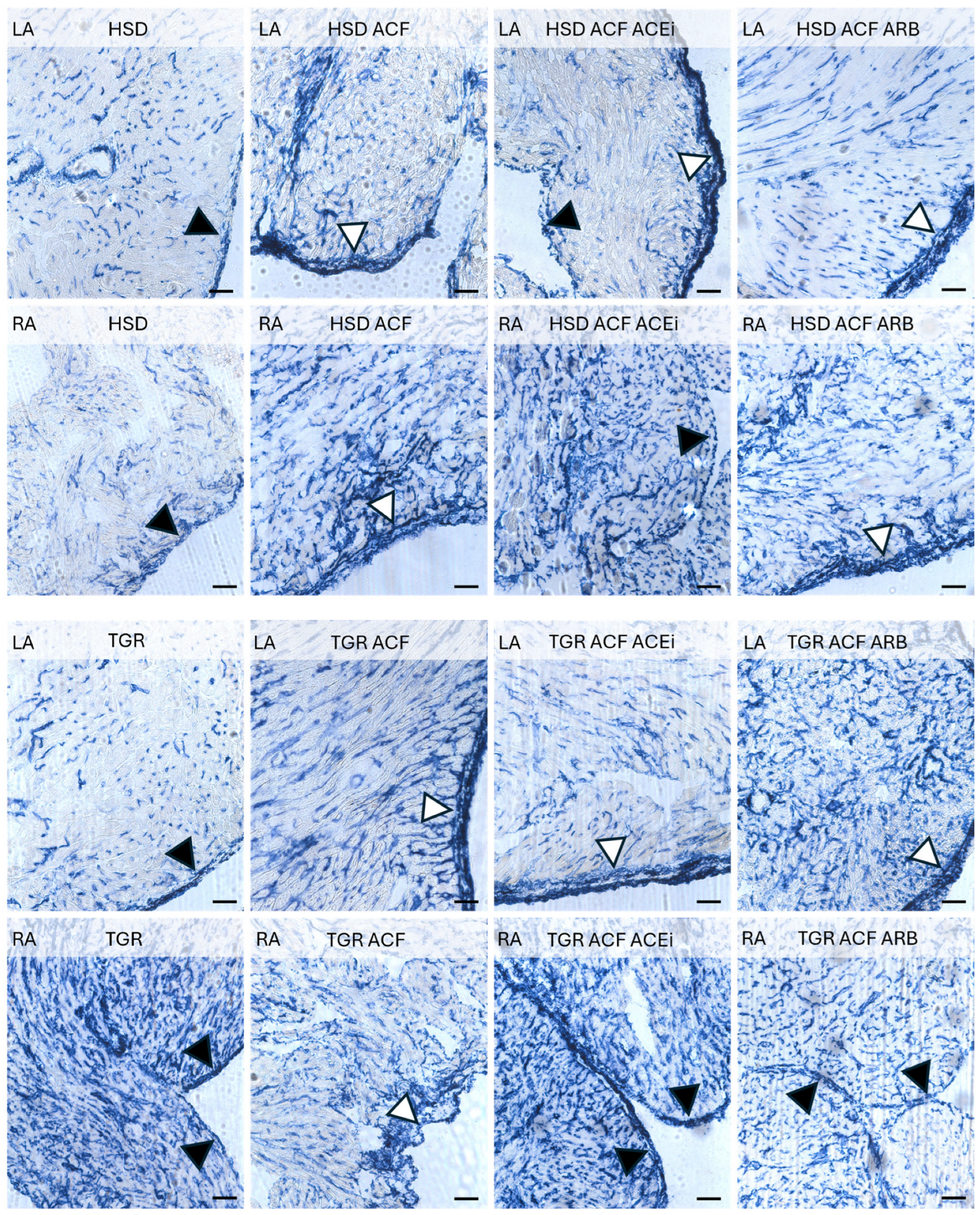 Biomolecules 15 01457 g003