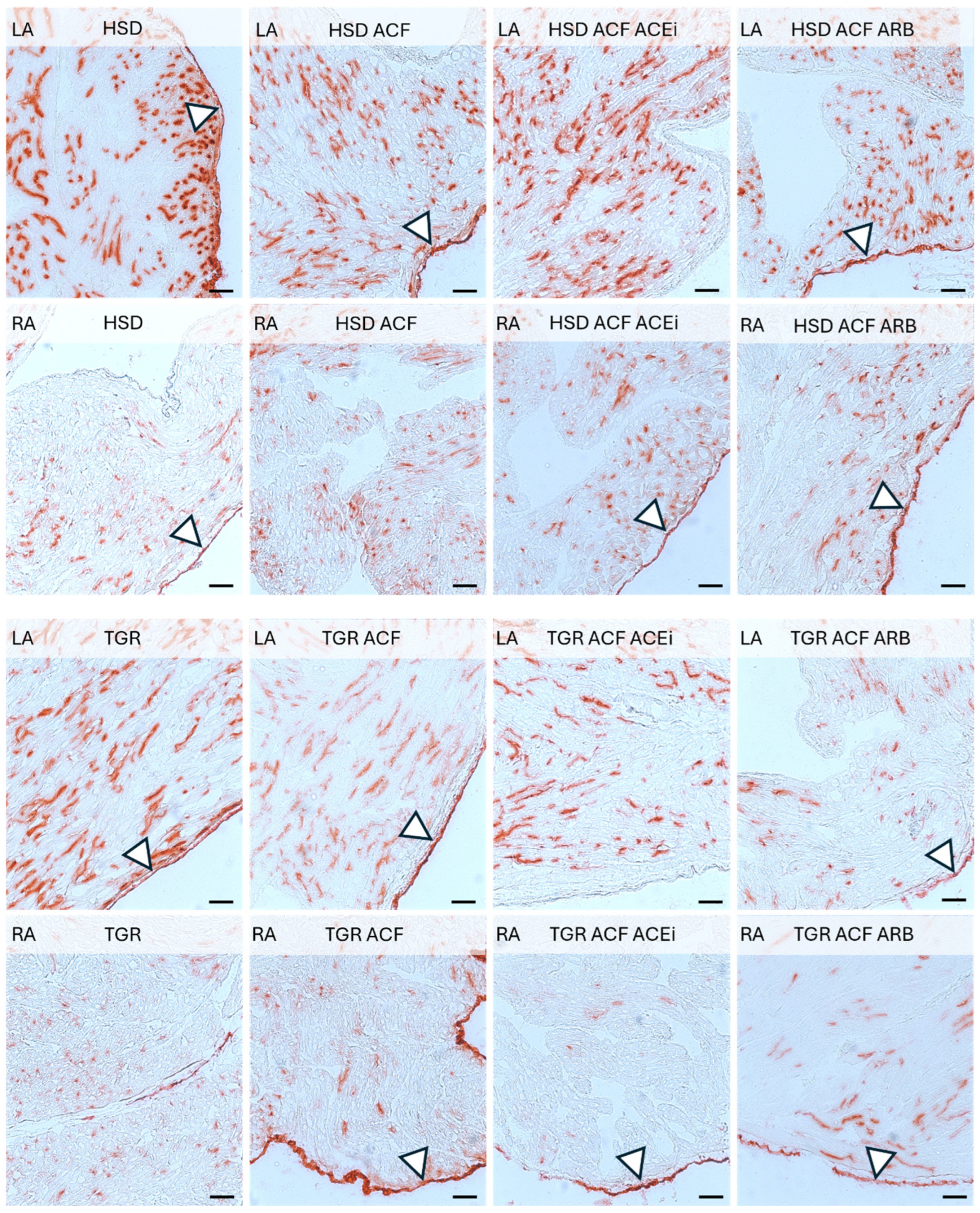 Biomolecules 15 01457 g004