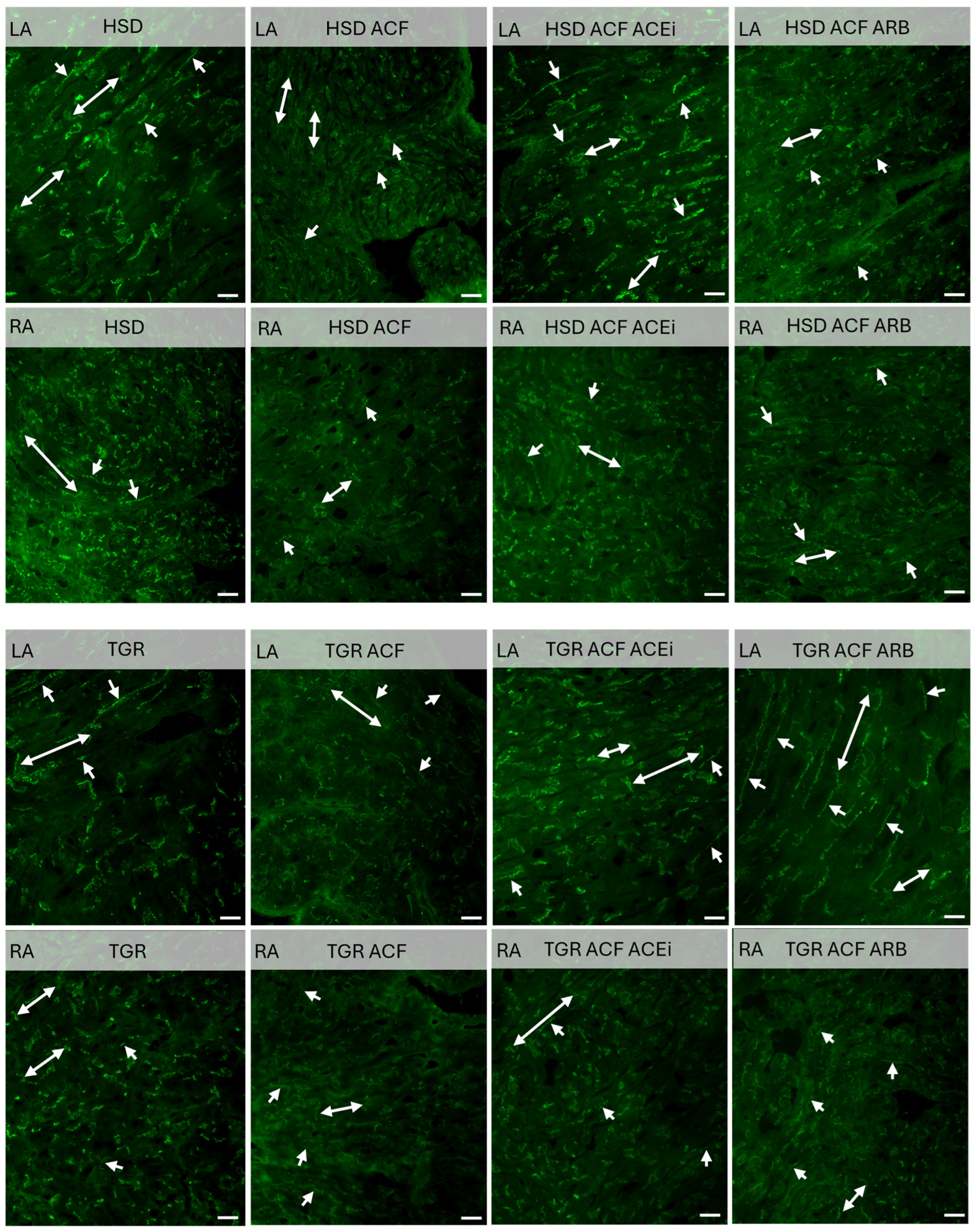 Biomolecules 15 01457 g005
