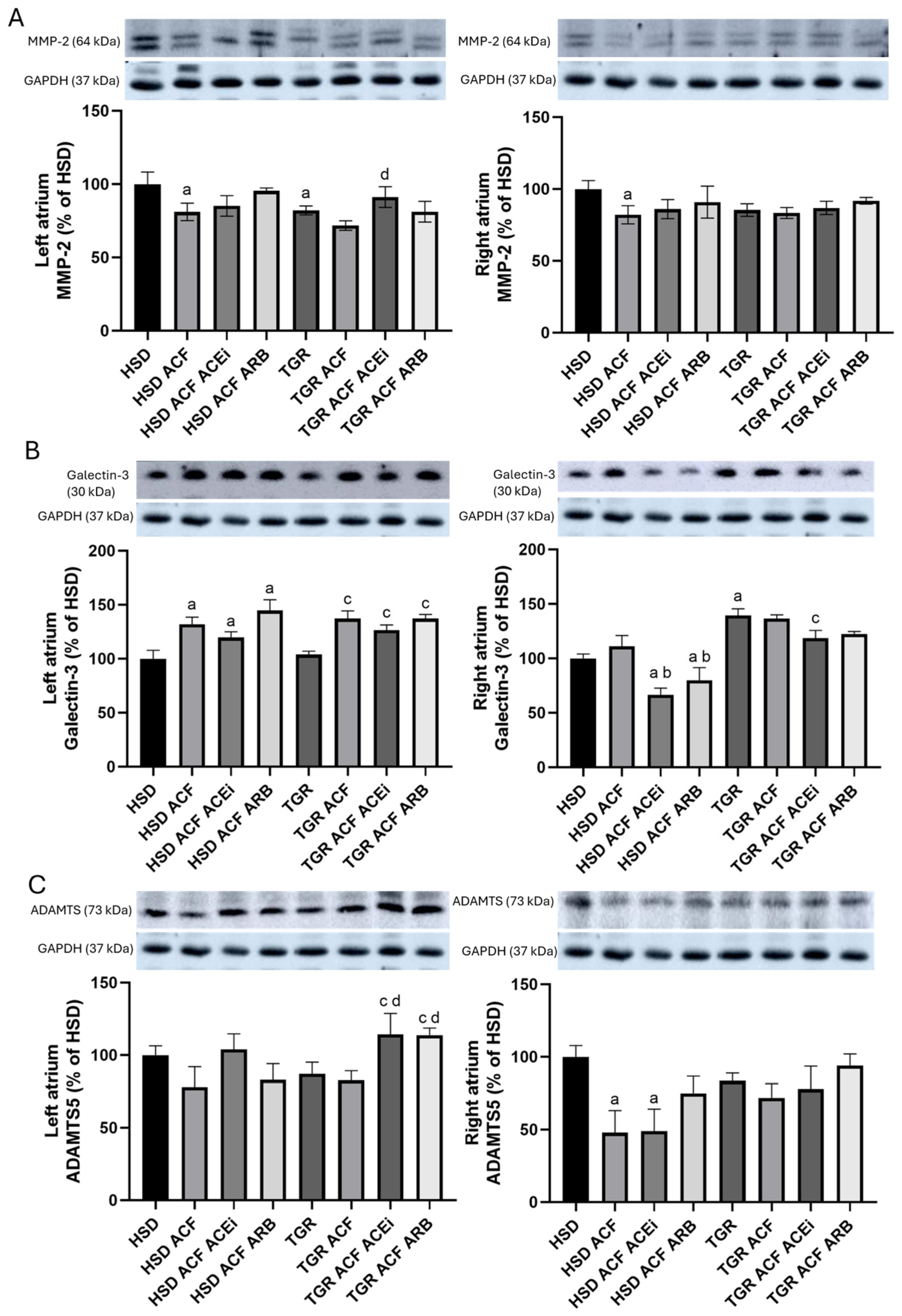 Biomolecules 15 01457 g008