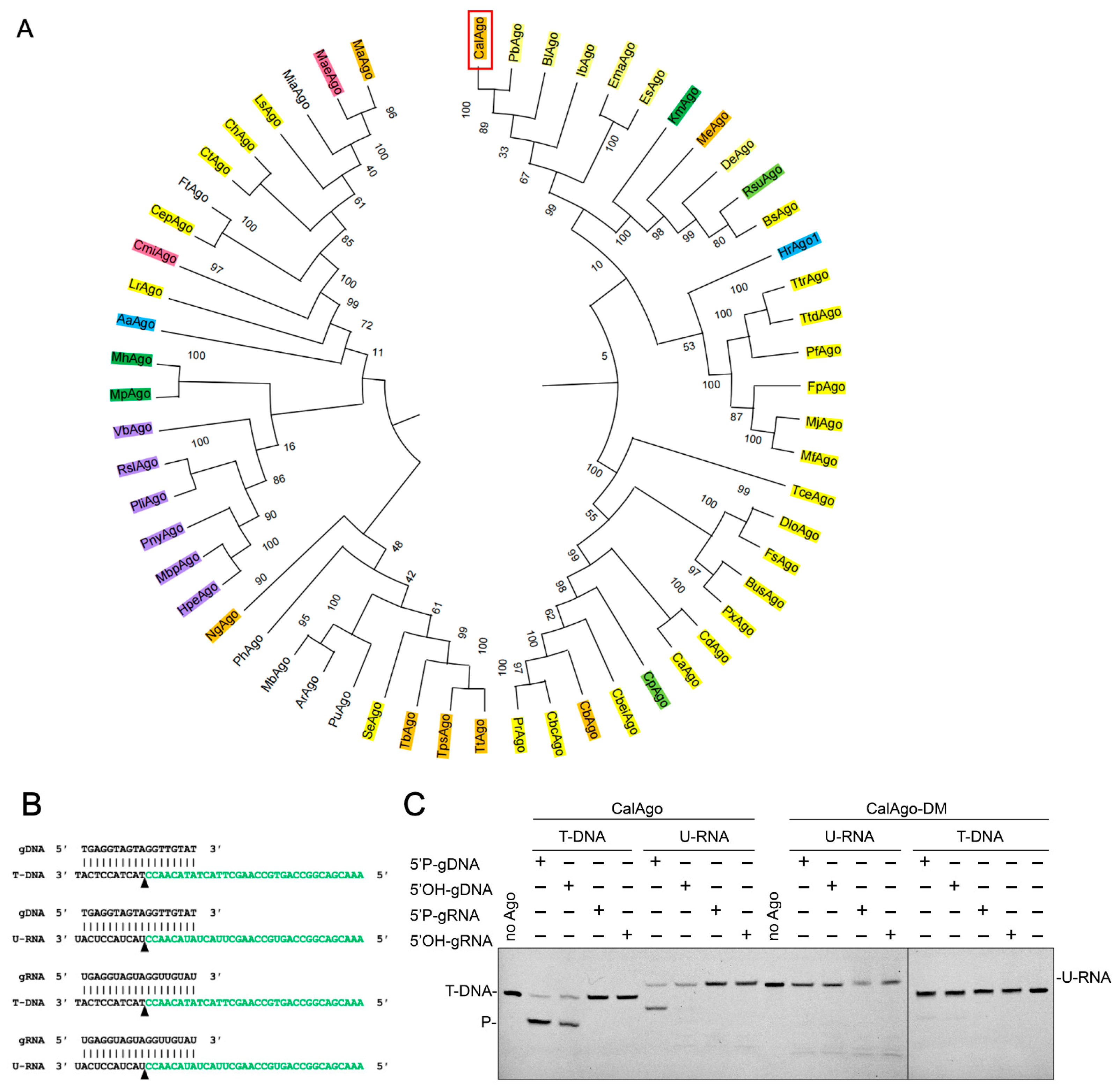 Biomolecules 15 01459 g001 Biomolecules 15 01459 g001