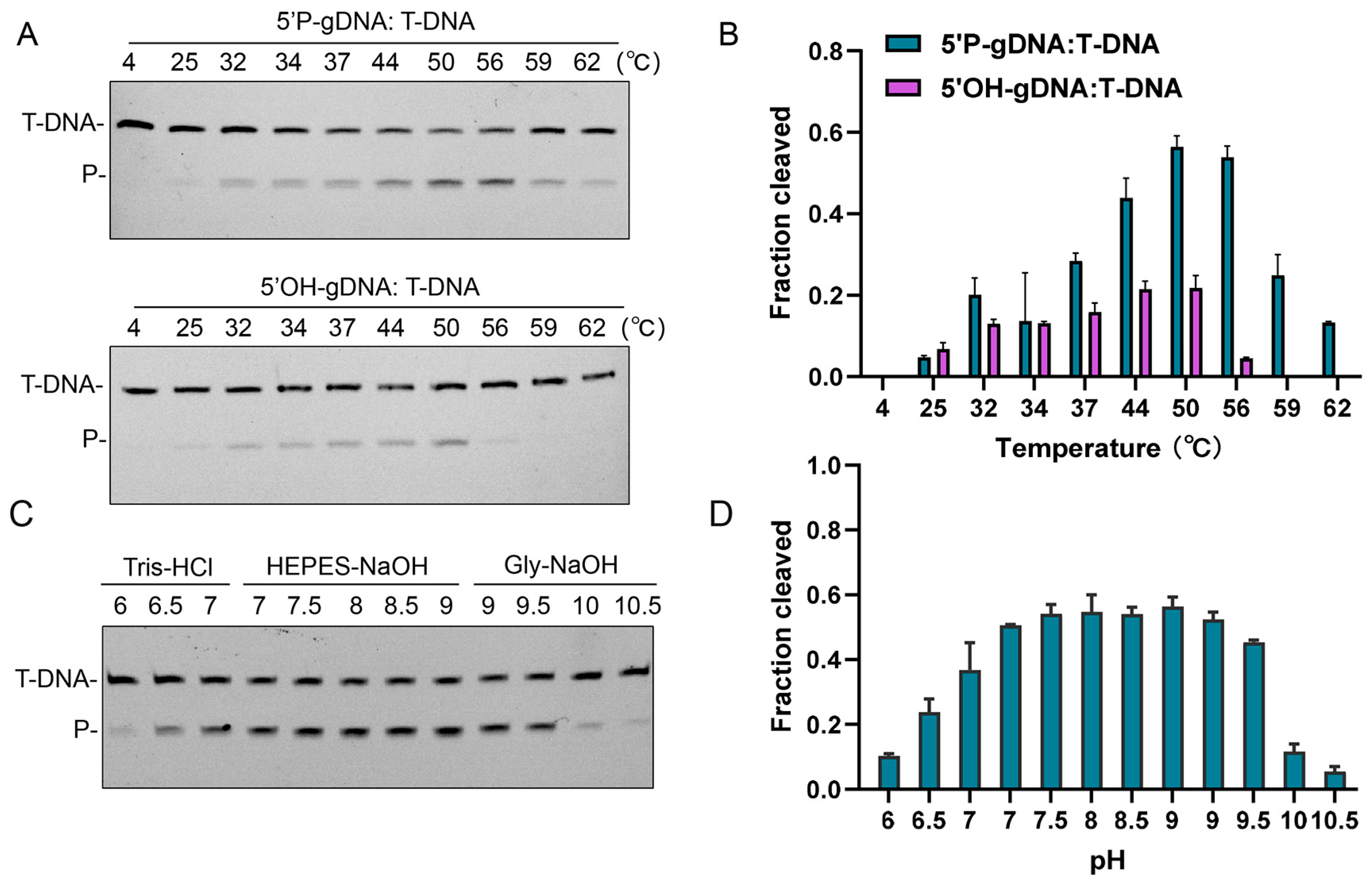 Biomolecules 15 01459 g002 Biomolecules 15 01459 g002