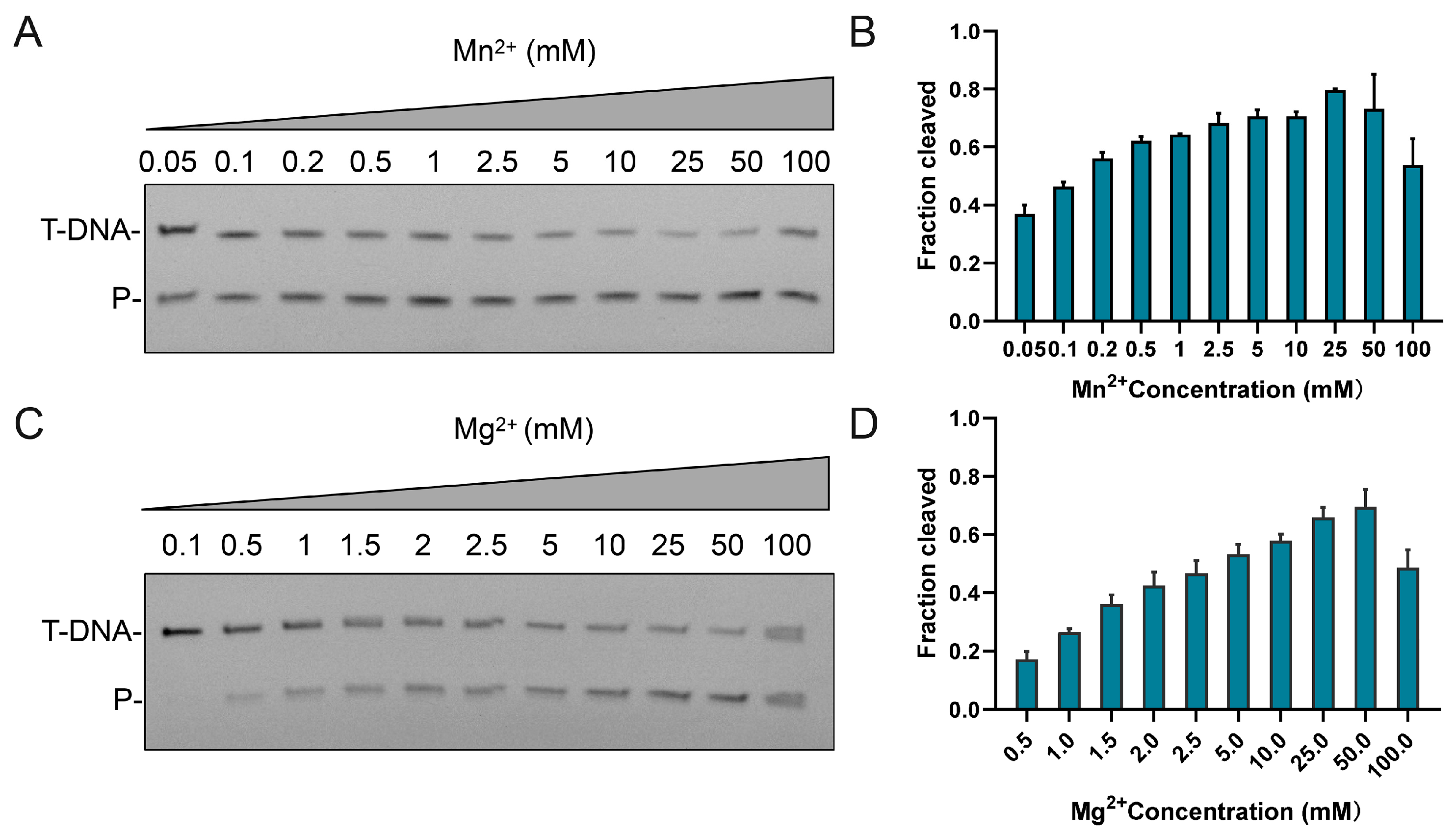 Biomolecules 15 01459 g003 Biomolecules 15 01459 g003