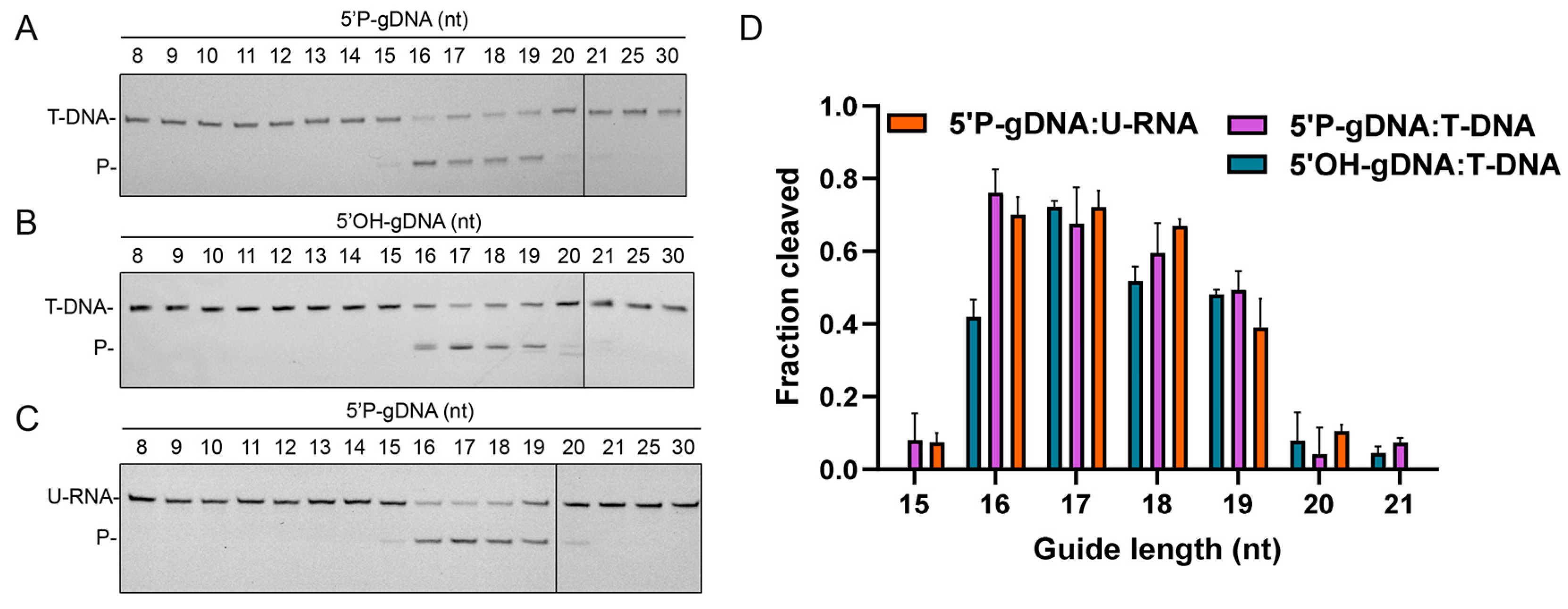 Biomolecules 15 01459 g004 Biomolecules 15 01459 g004