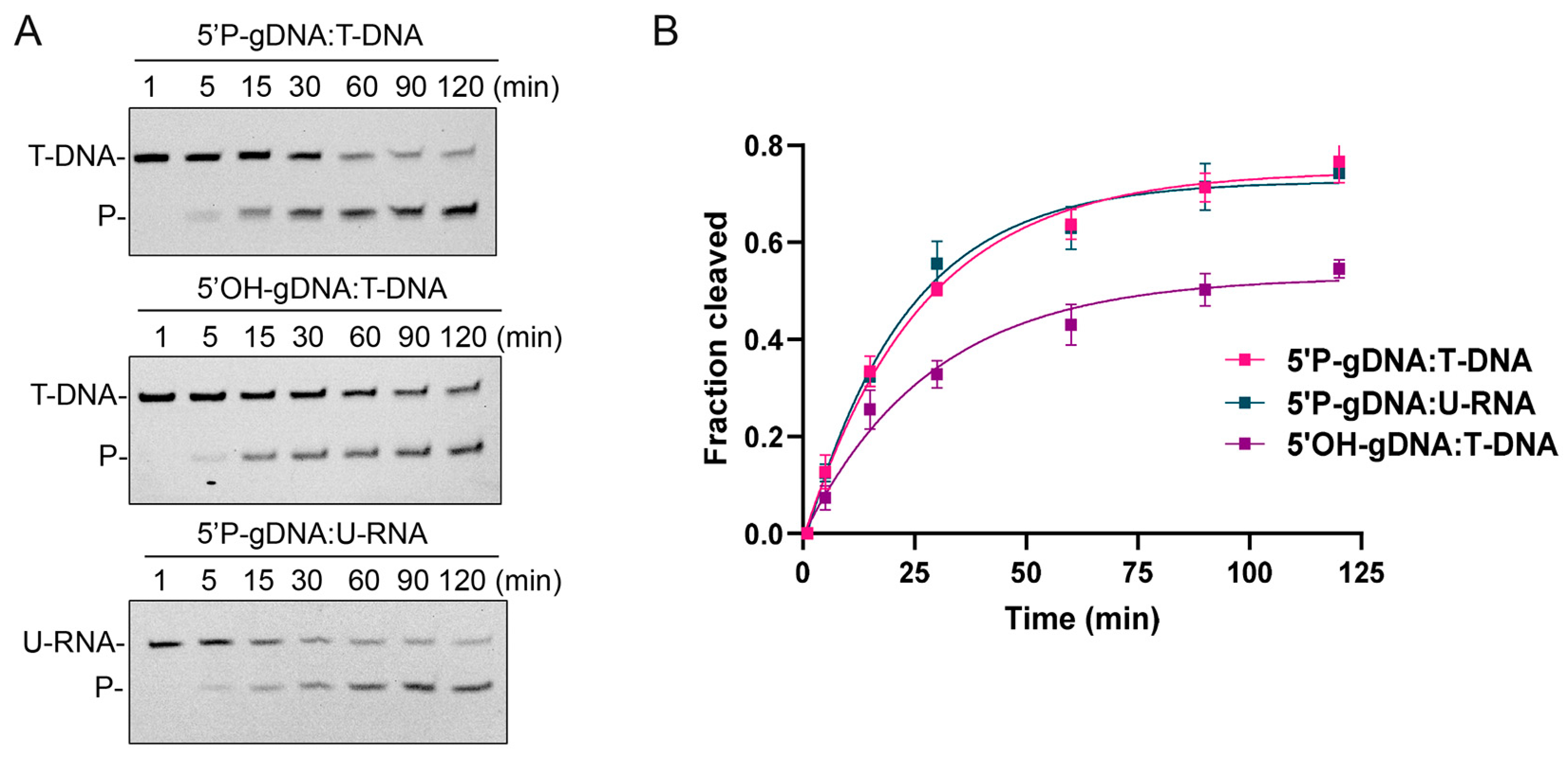 Biomolecules 15 01459 g005 Biomolecules 15 01459 g005