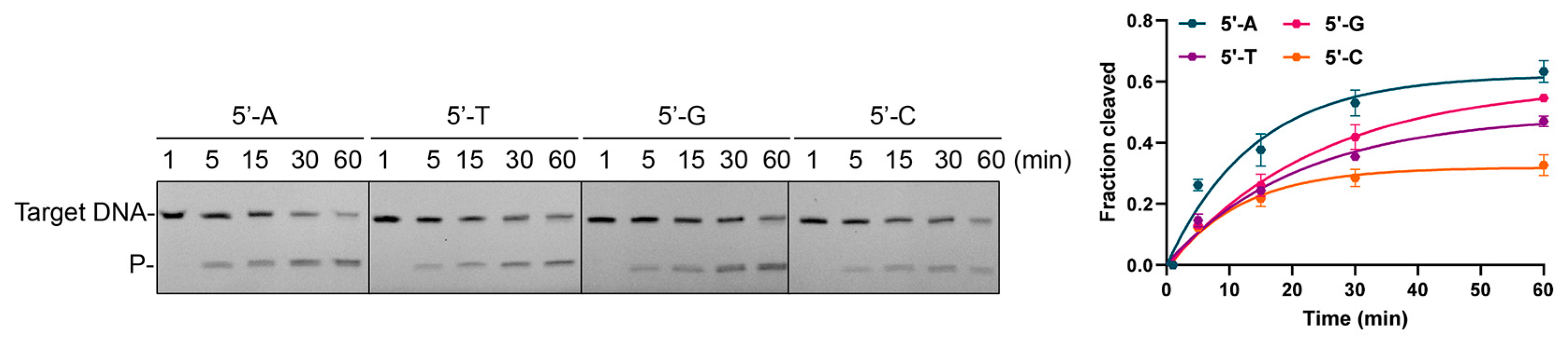 Biomolecules 15 01459 g006 Biomolecules 15 01459 g006