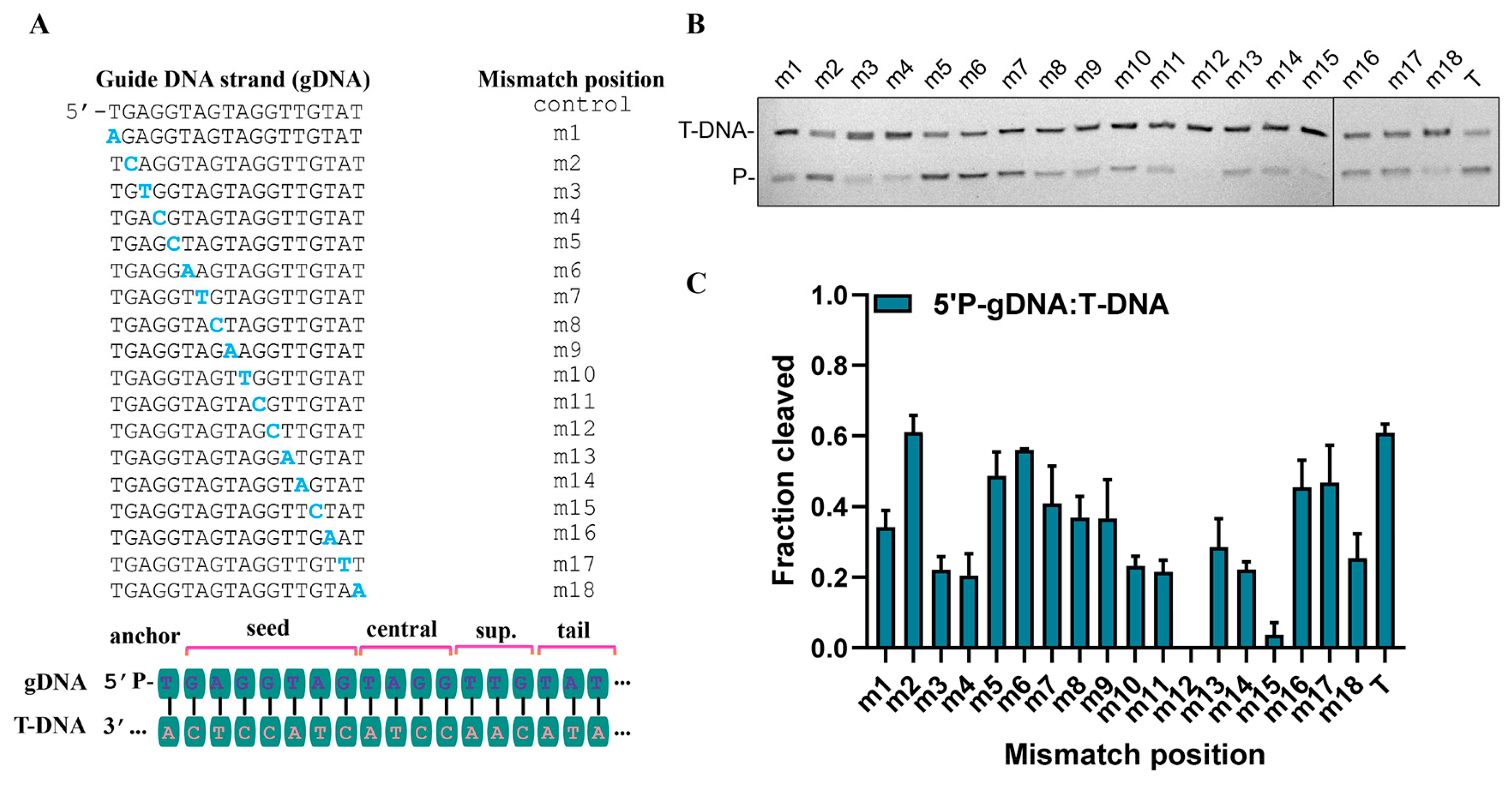 Biomolecules 15 01459 g007 Biomolecules 15 01459 g007