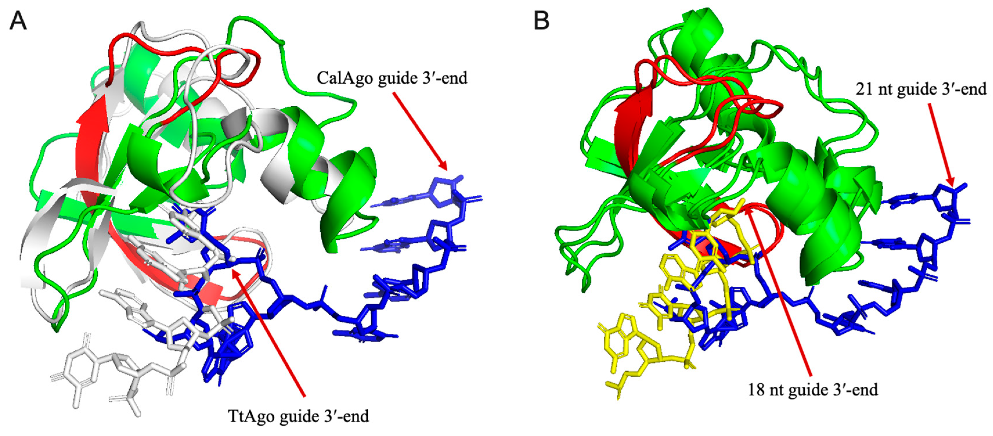 Biomolecules 15 01459 g008 Biomolecules 15 01459 g008