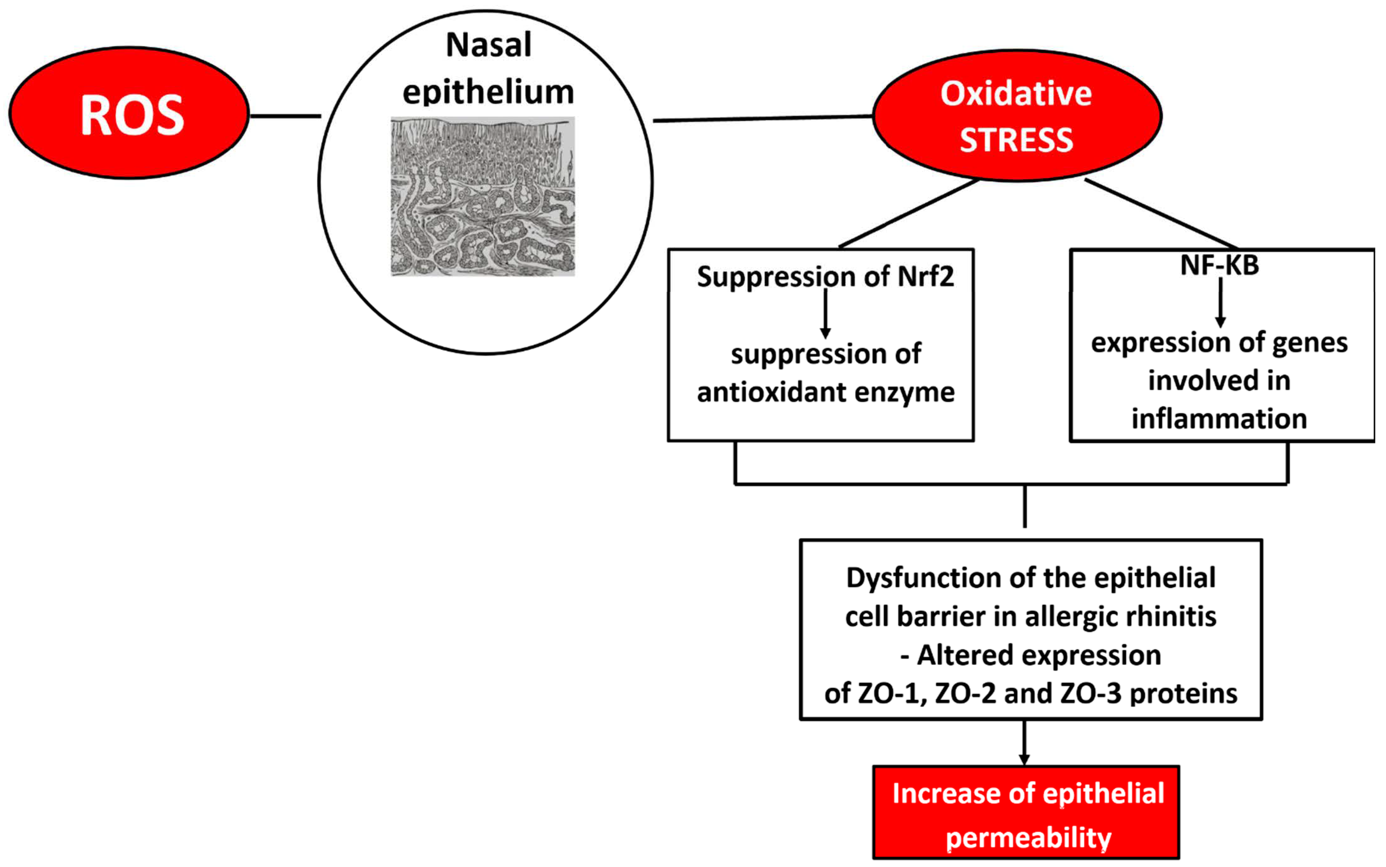 Biomolecules 15 01461 g002