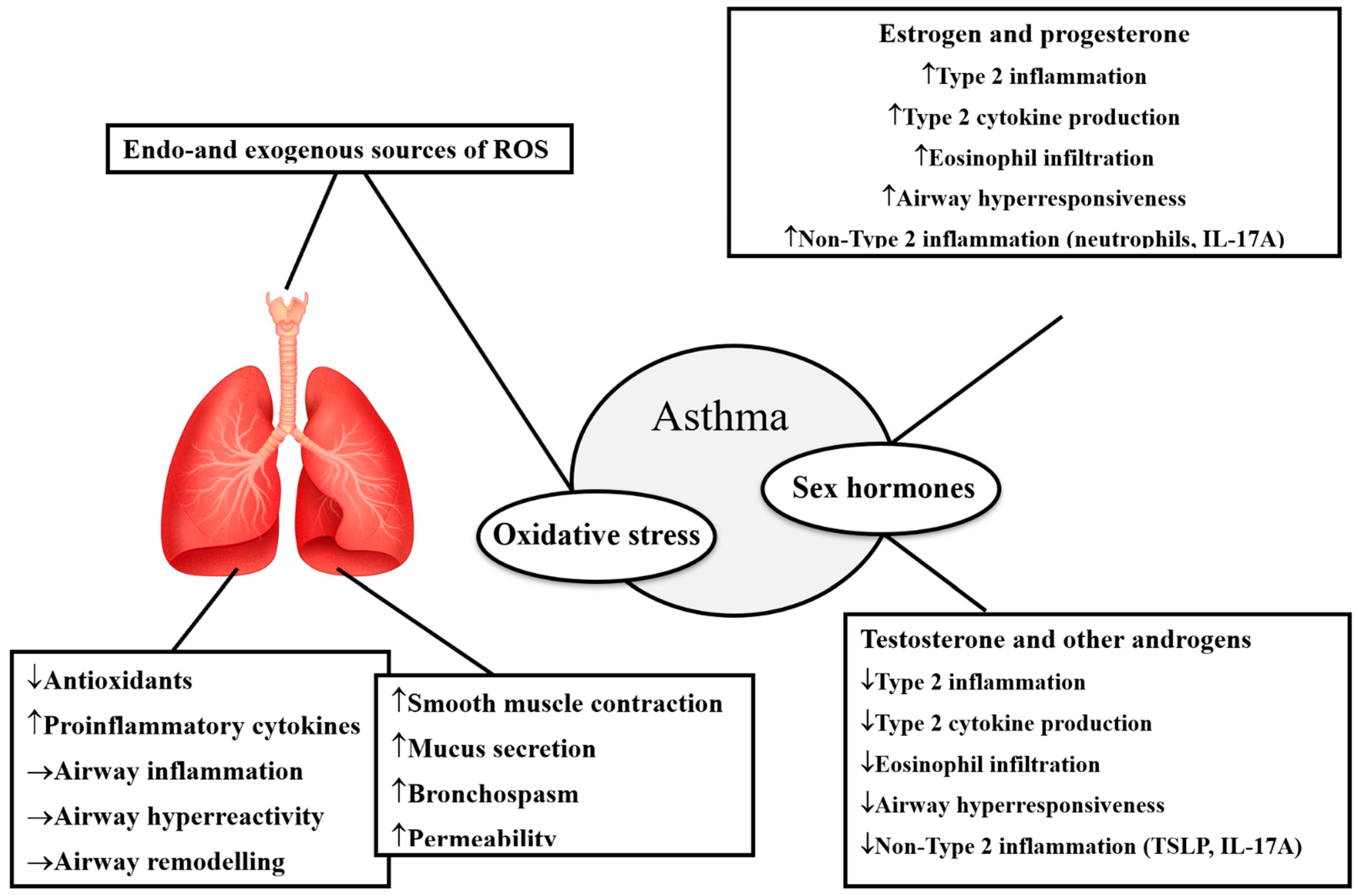 Biomolecules 15 01461 g003