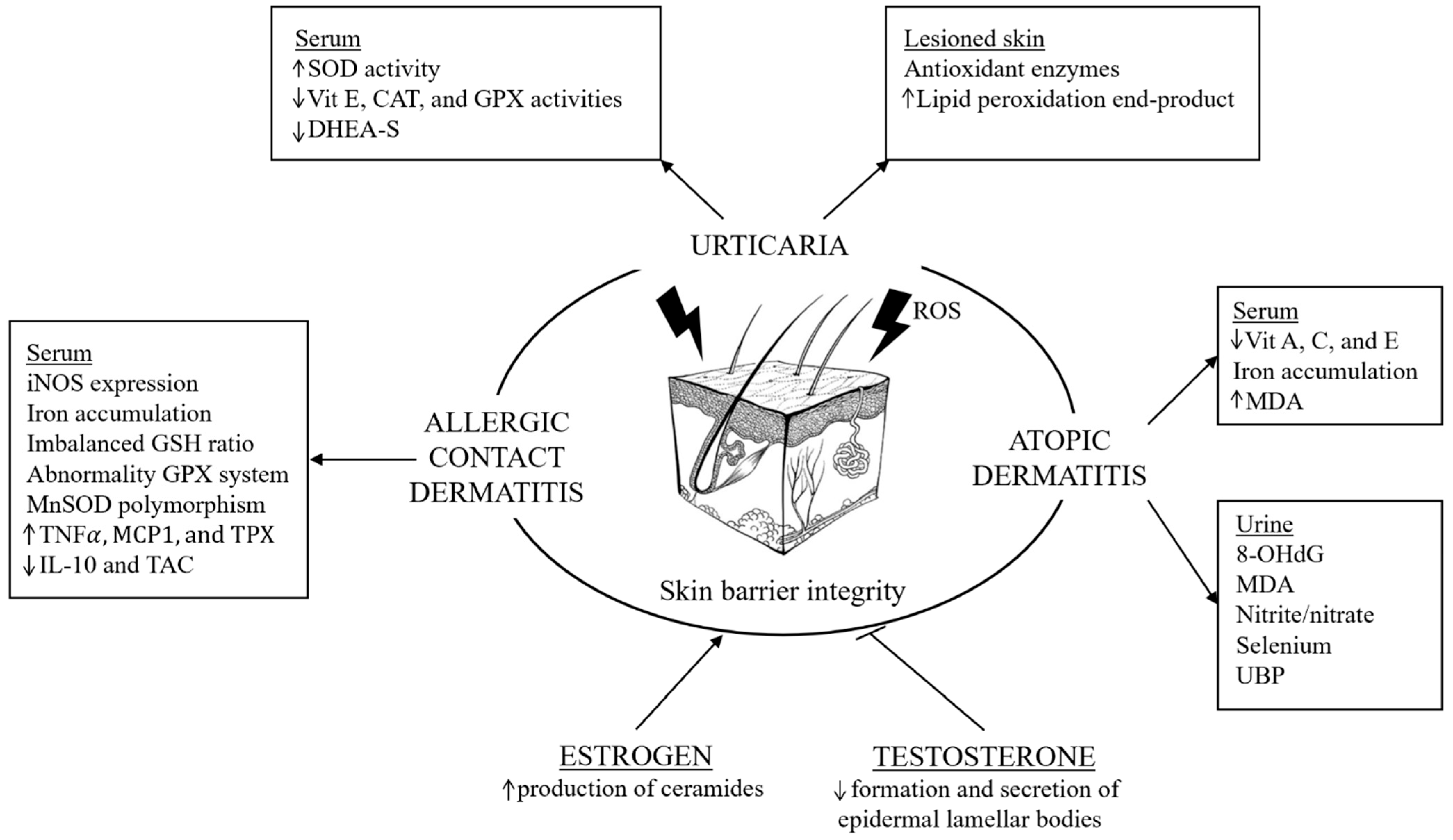 Biomolecules 15 01461 g004