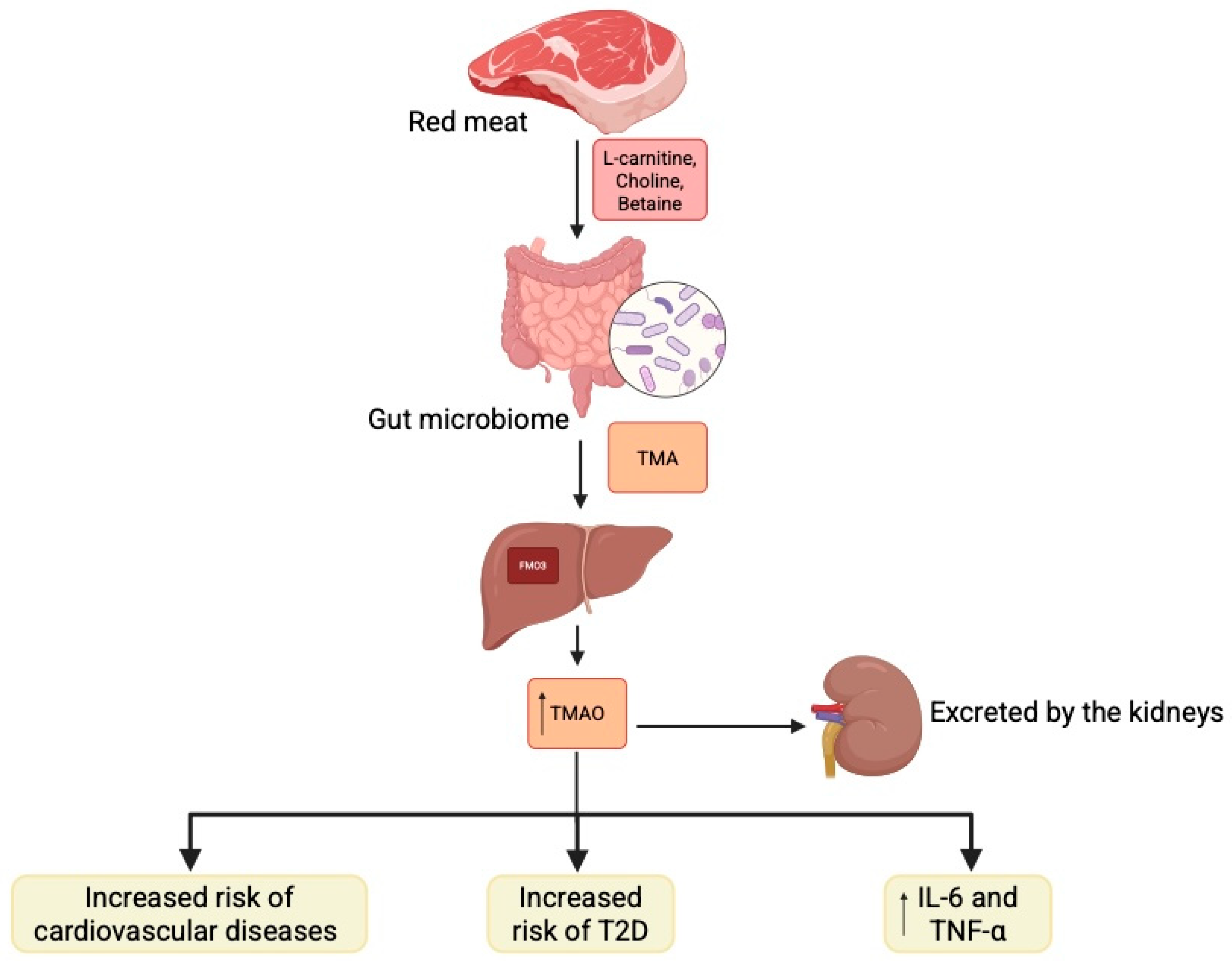 Biomolecules 15 01463 g002 Biomolecules 15 01463 g002