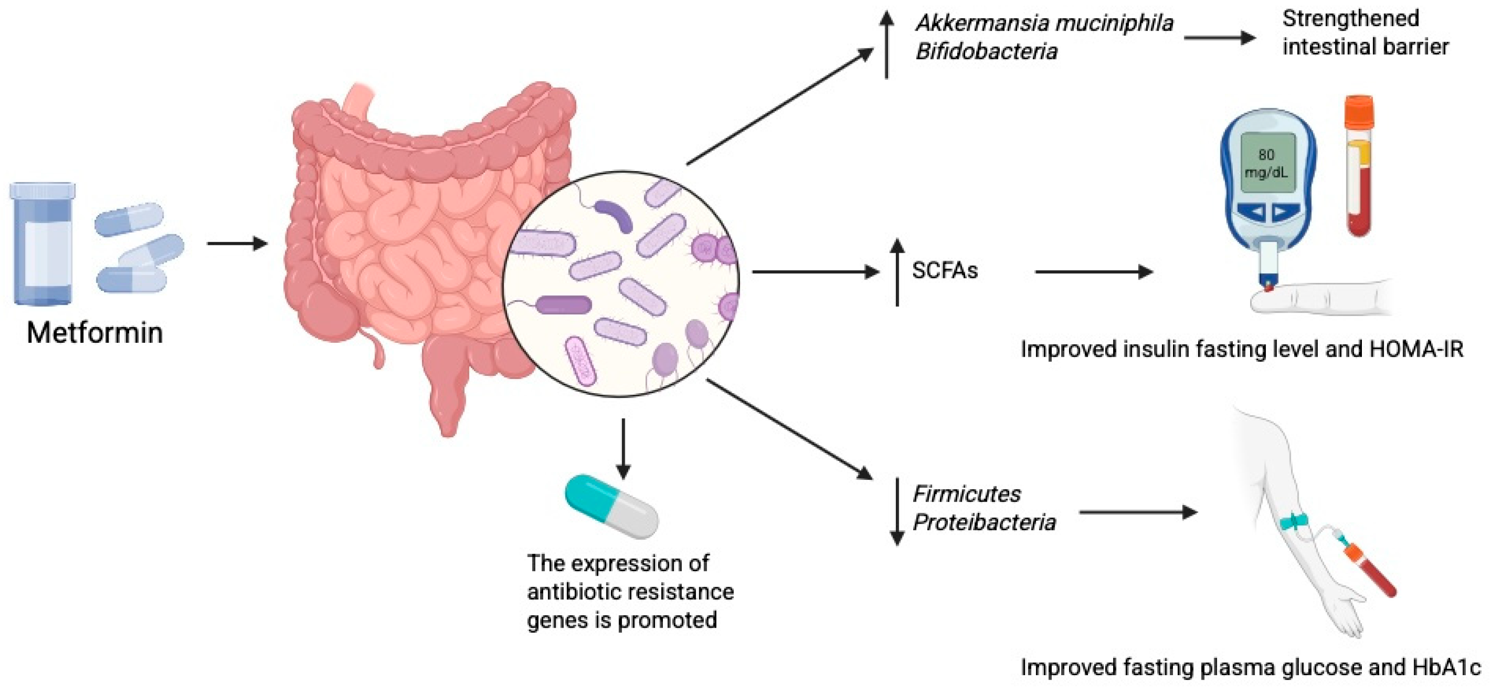 Biomolecules 15 01463 g003 Biomolecules 15 01463 g003