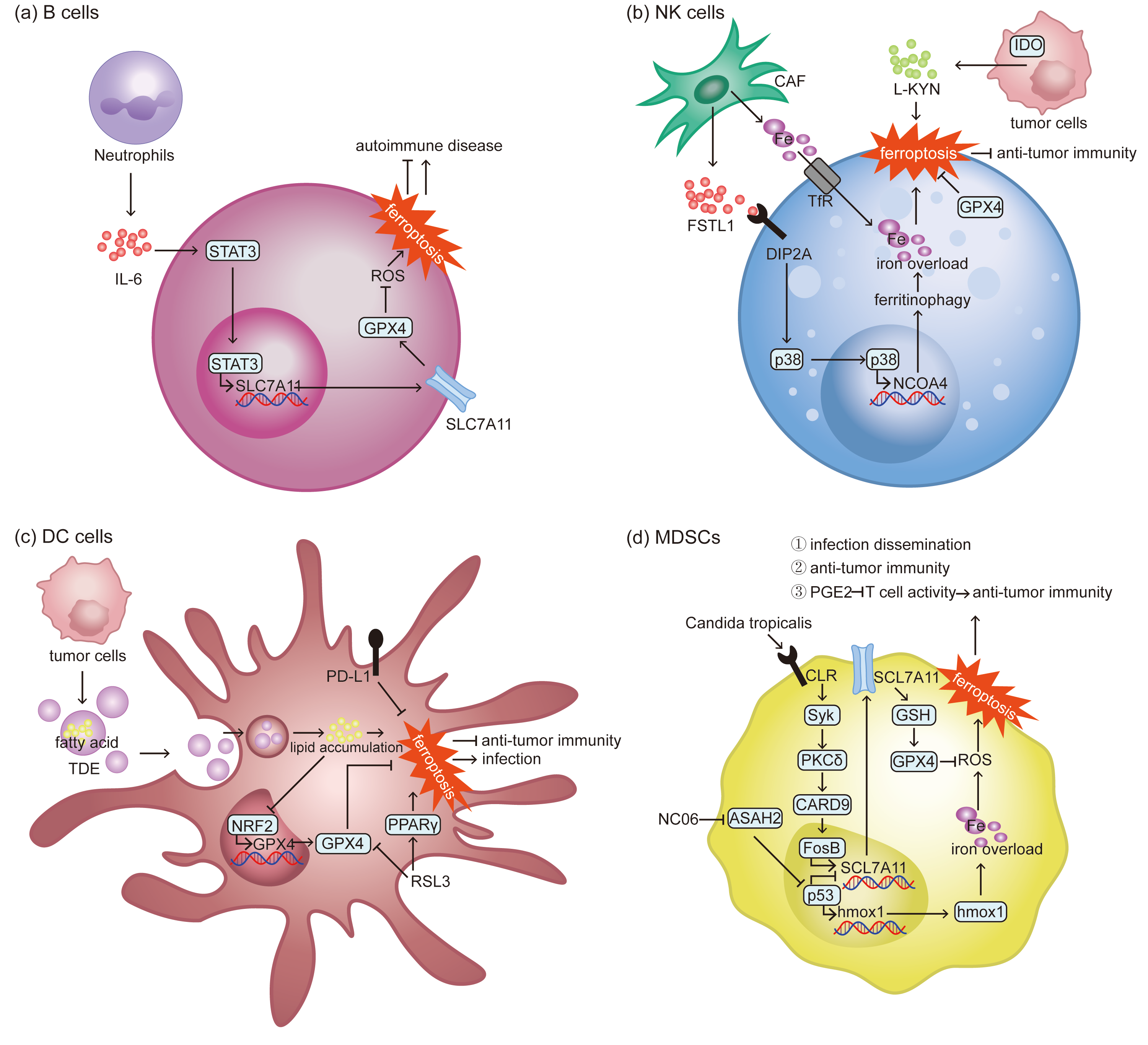 Biomolecules 15 01464 g003