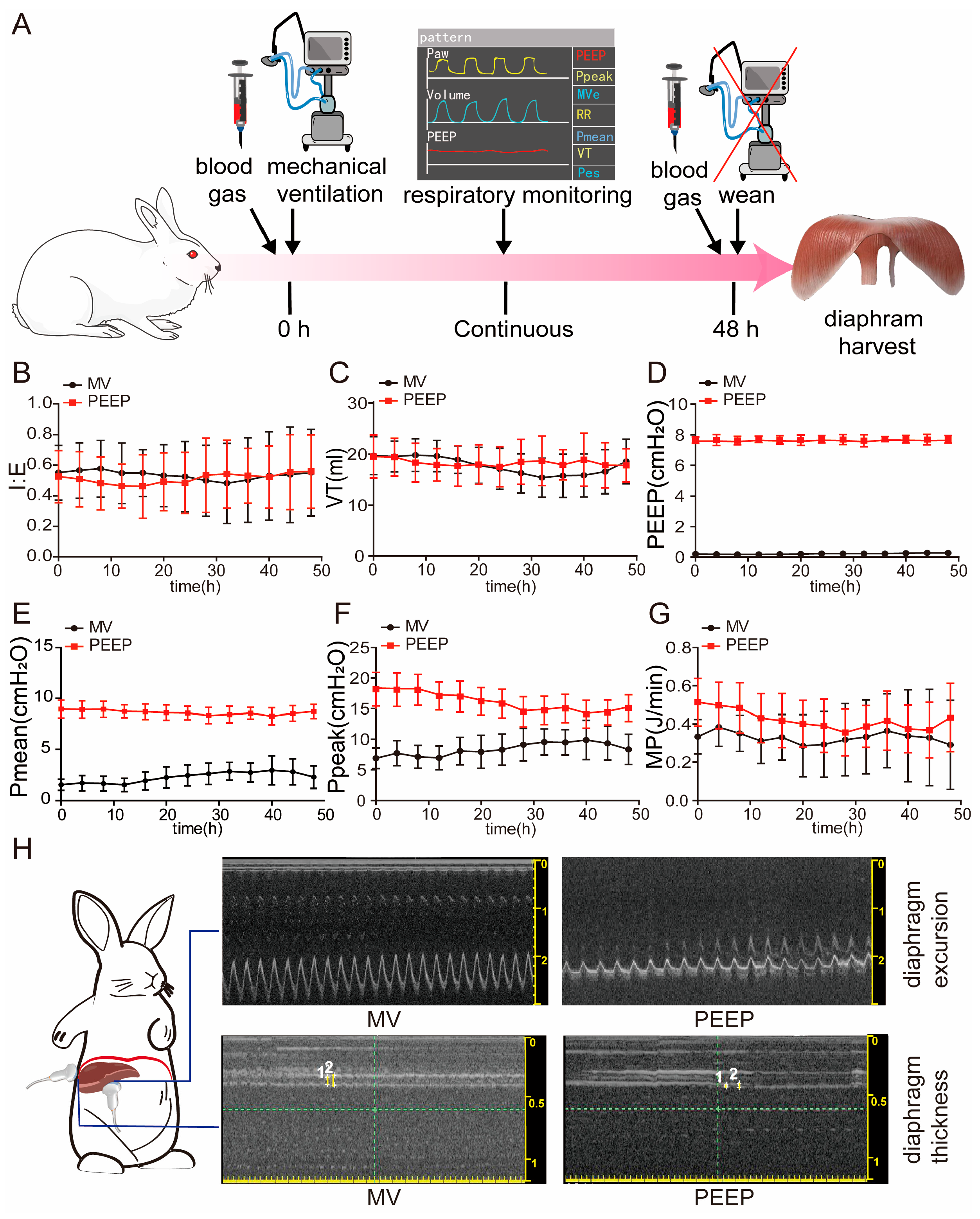 Biomolecules 15 01466 g001 Biomolecules 15 01466 g001