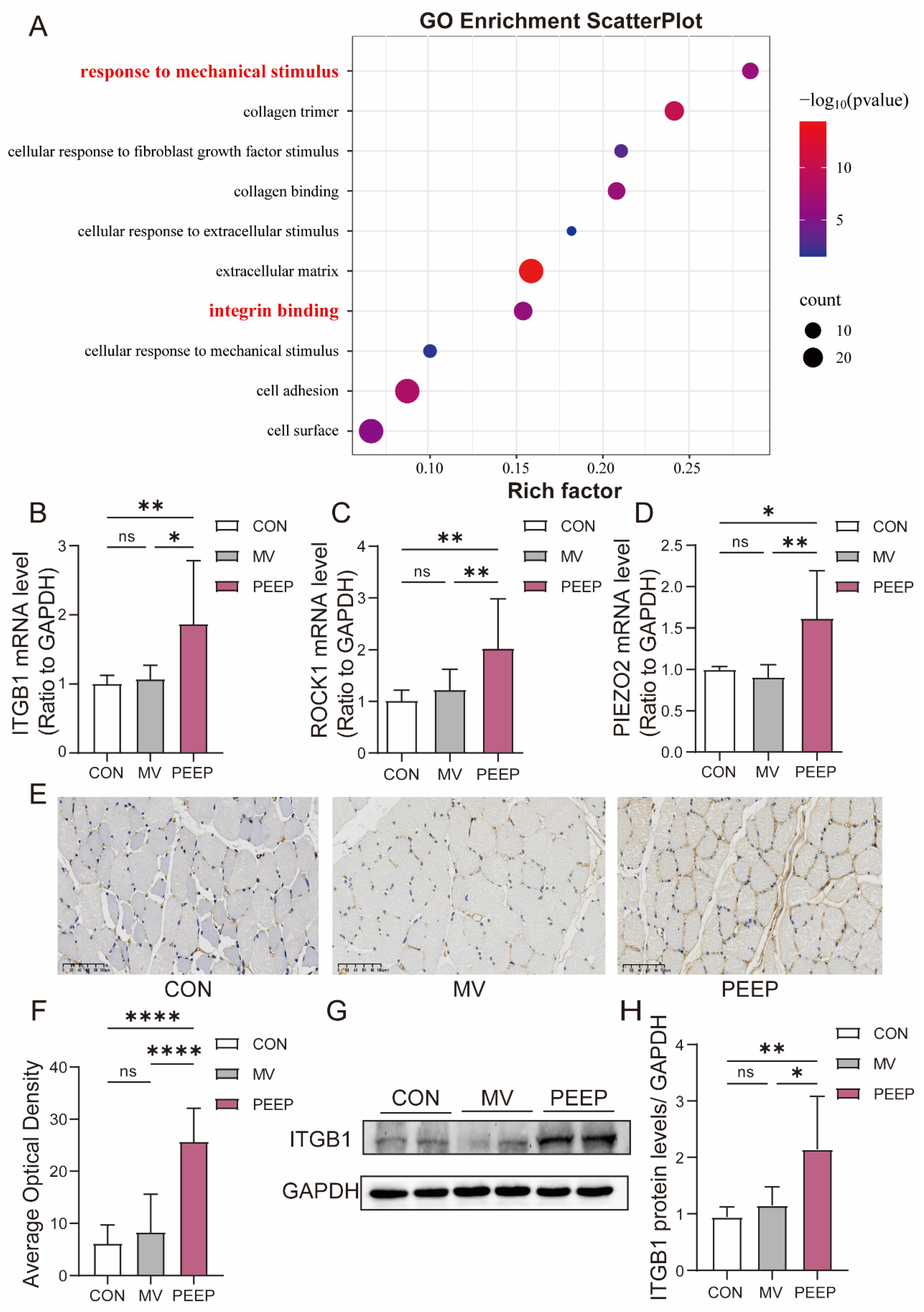 Biomolecules 15 01466 g003 Biomolecules 15 01466 g003