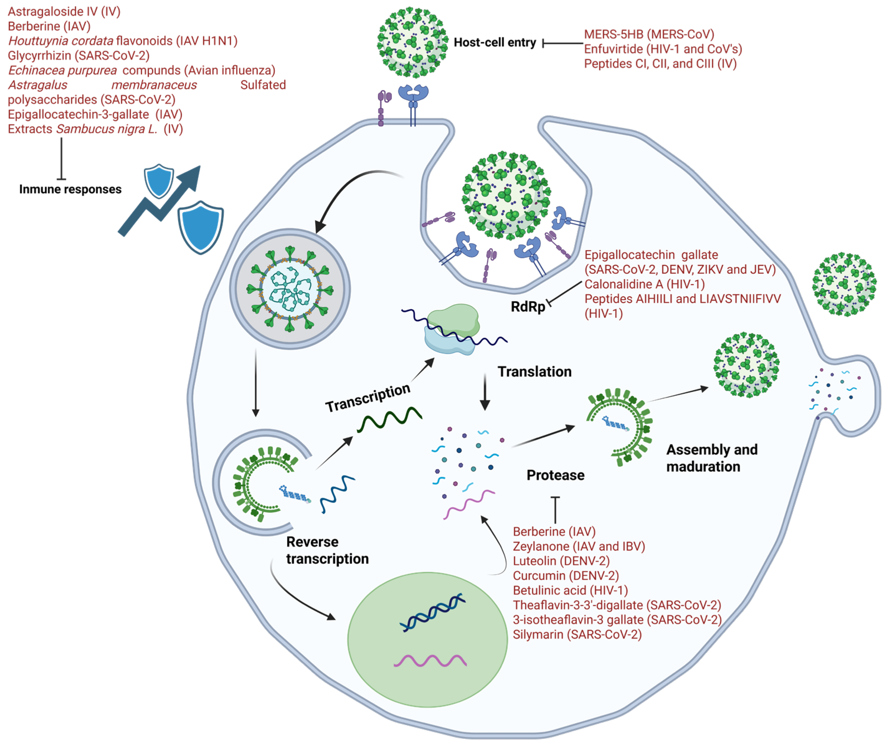 Biomolecules 15 01467 g001