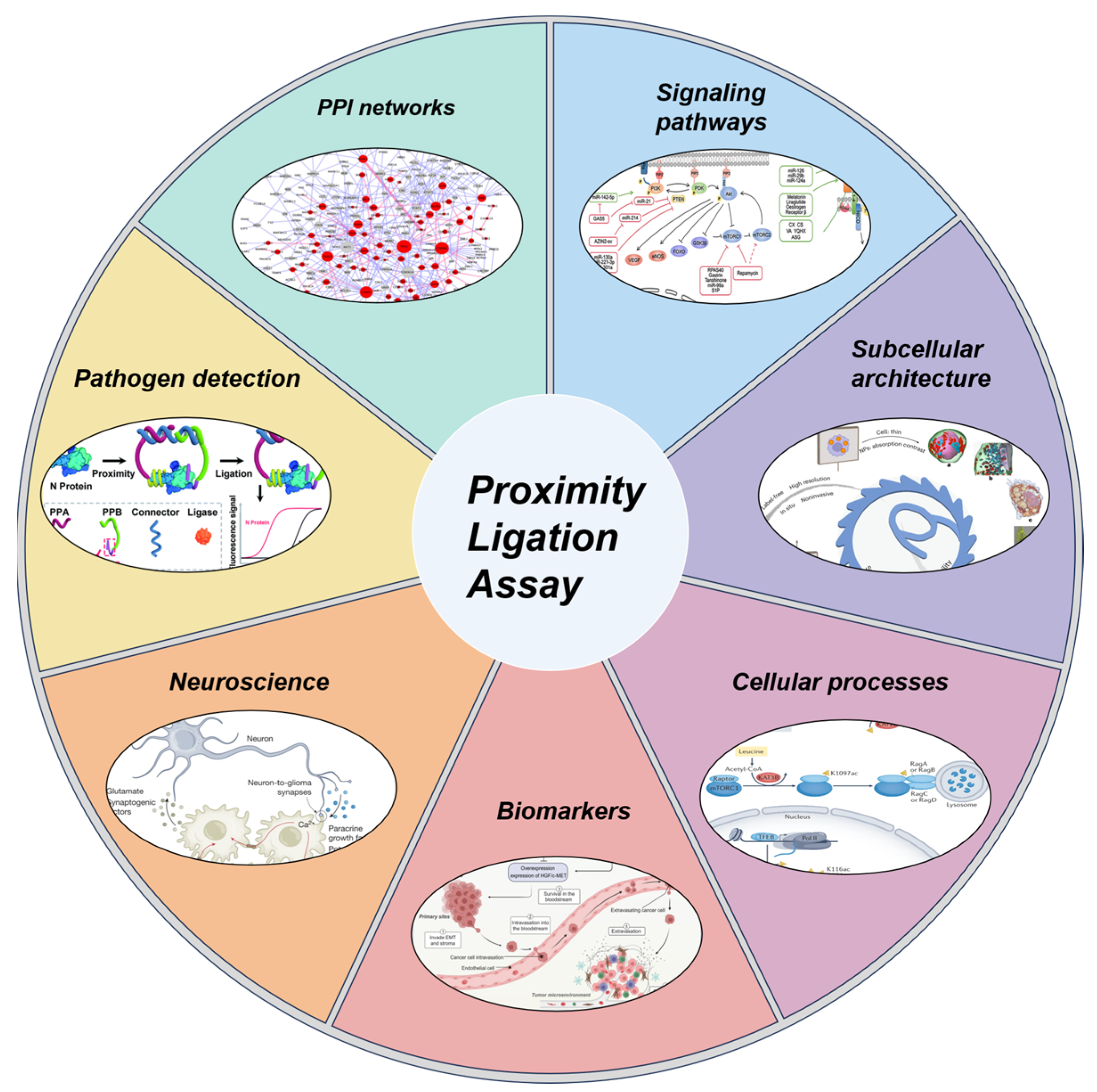 Biomolecules 15 01468 g001