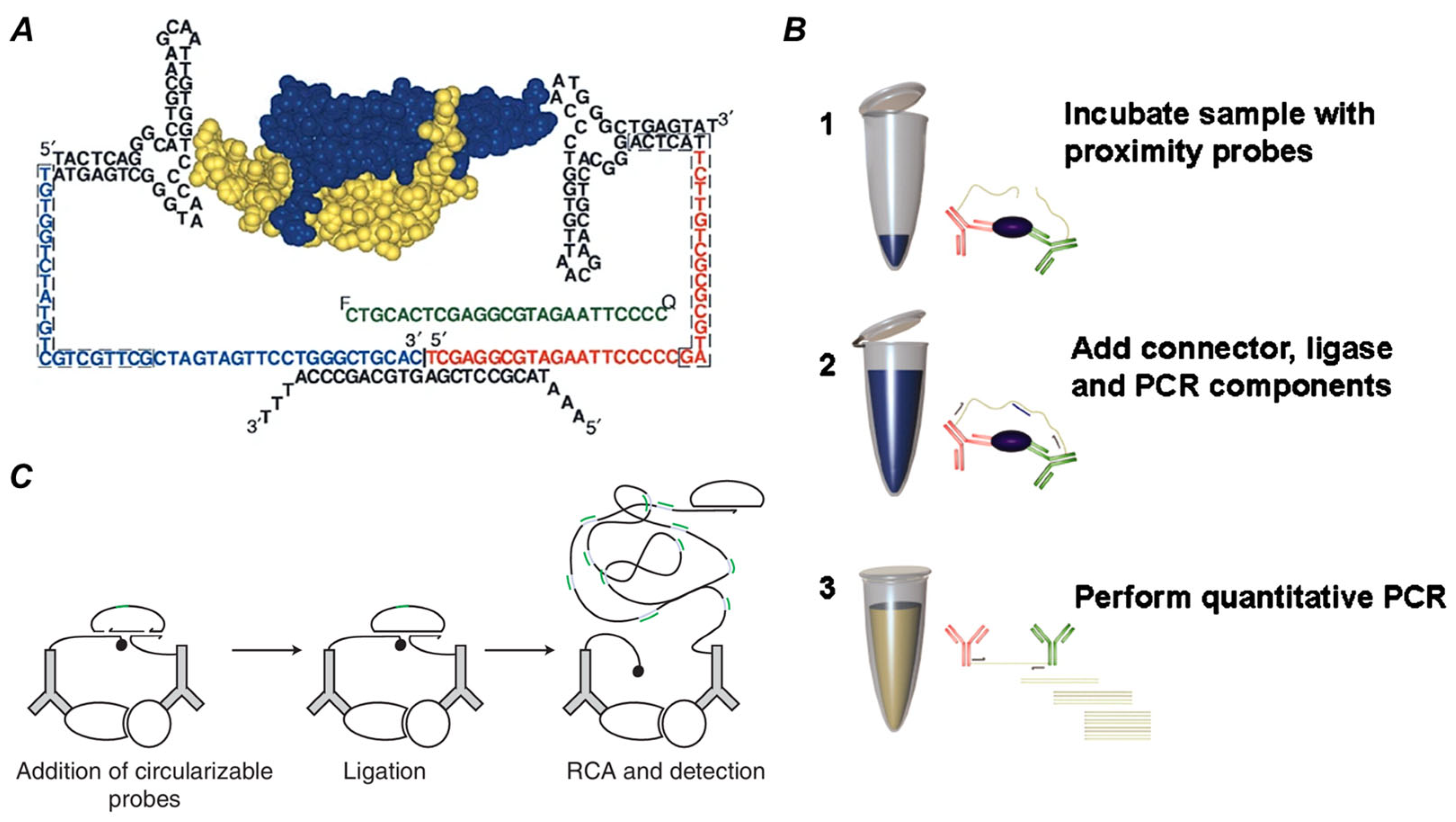Biomolecules 15 01468 g003