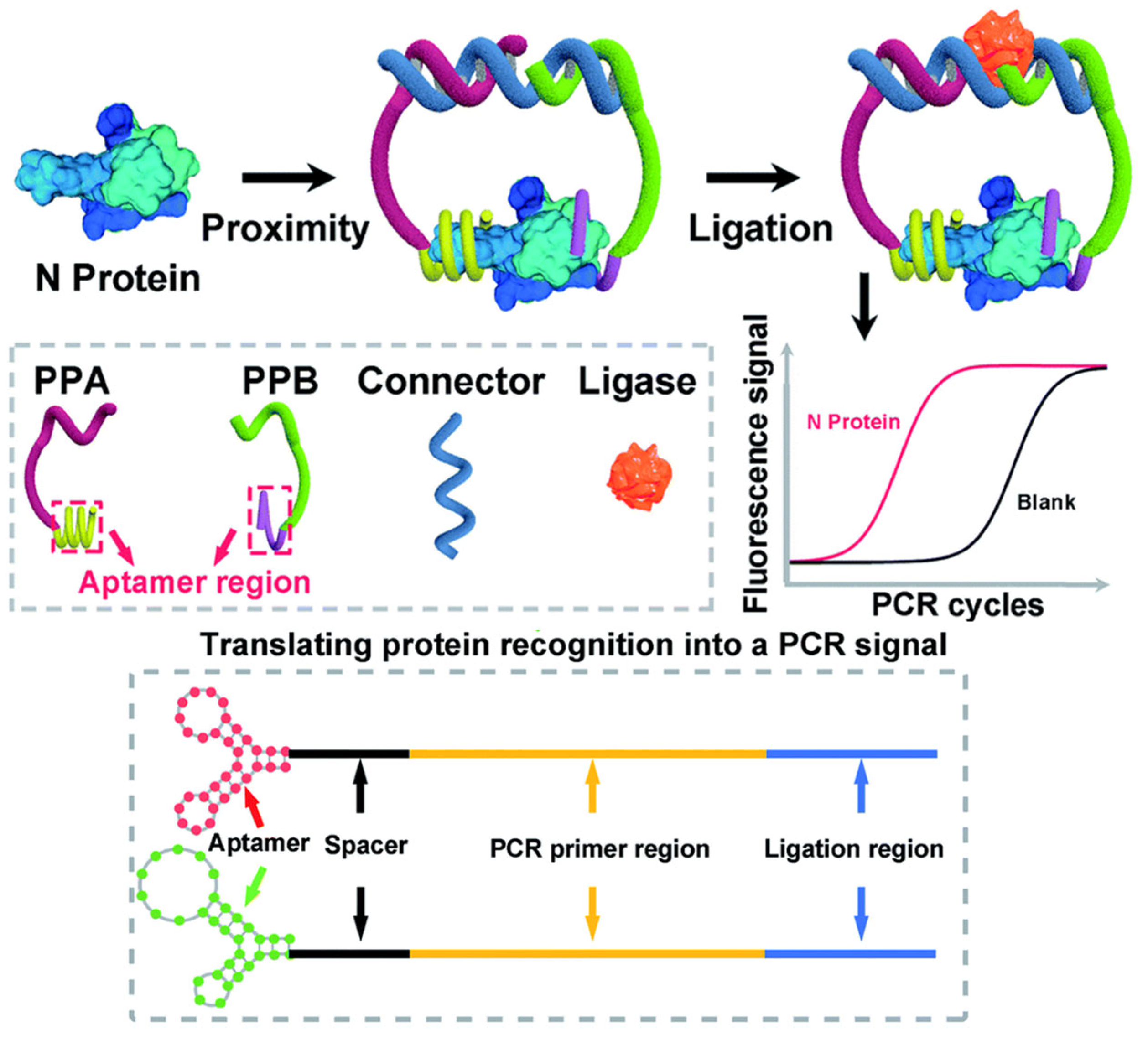 Biomolecules 15 01468 g008