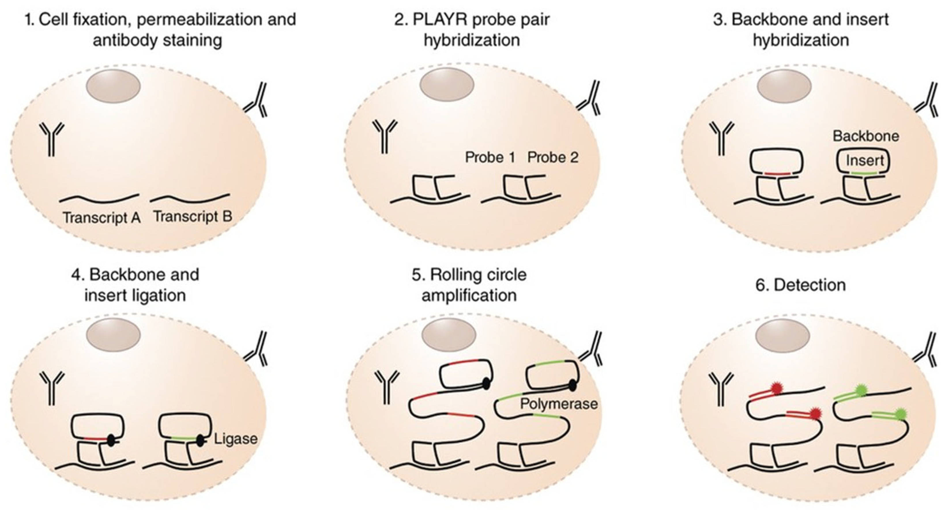 Biomolecules 15 01468 g011