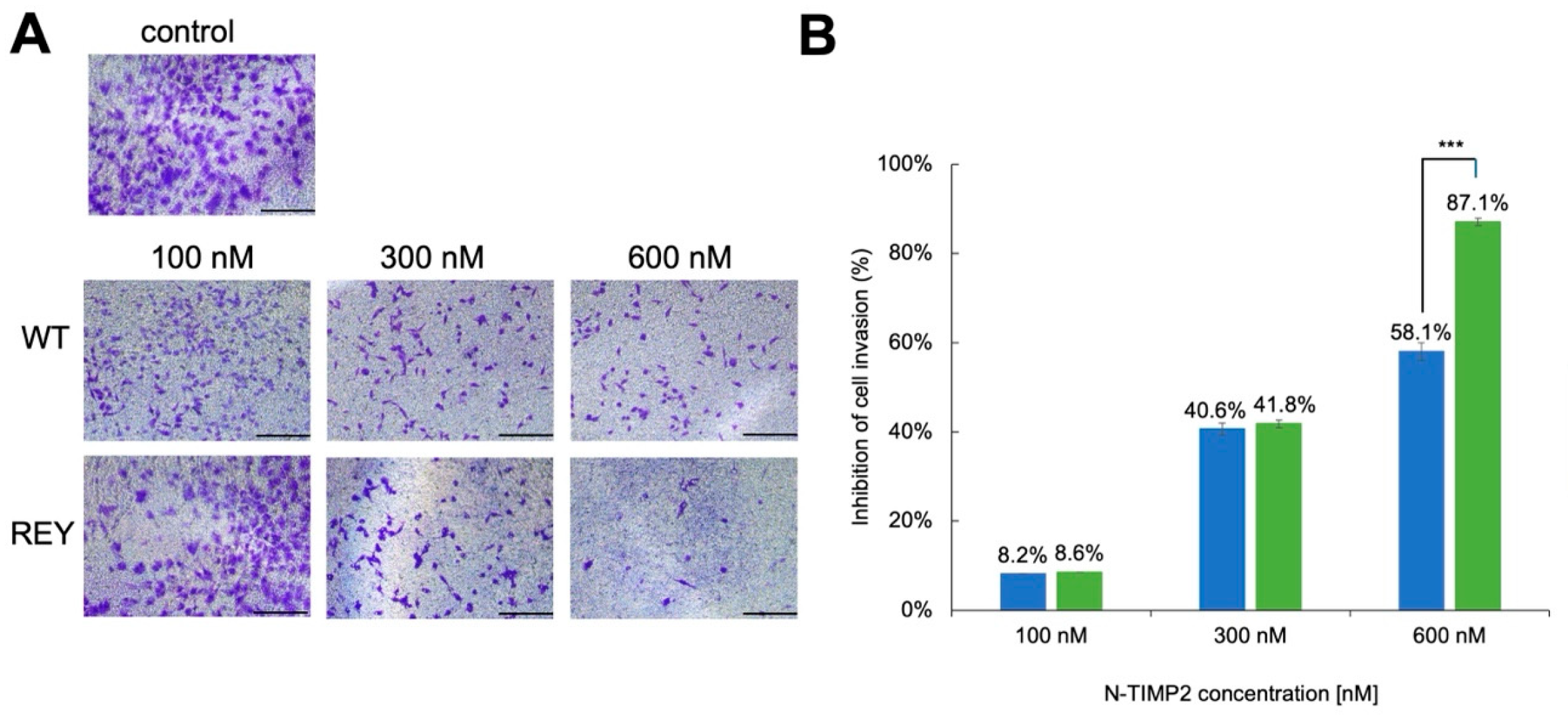 Biomolecules 15 01470 g002