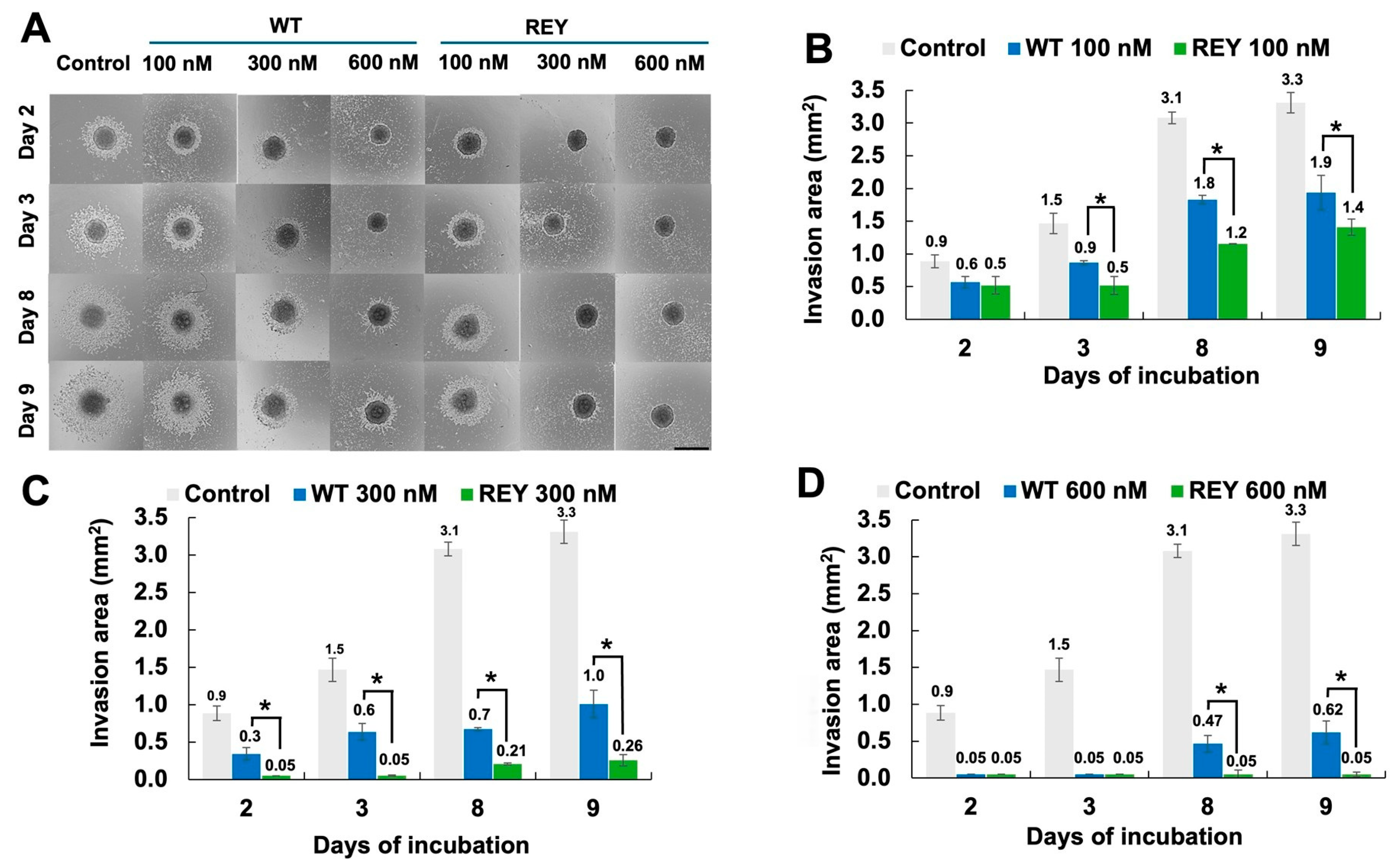 Biomolecules 15 01470 g003