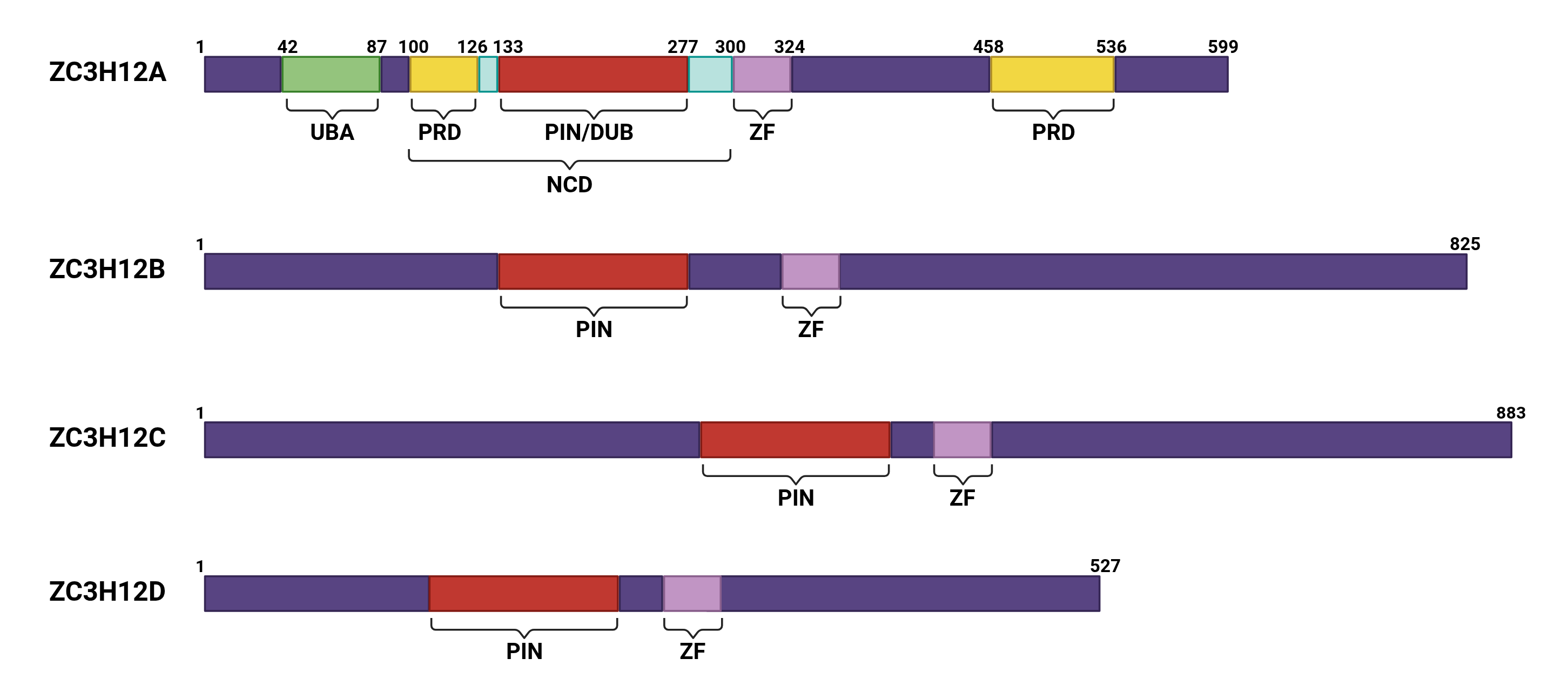 Biomolecules 15 01473 g001