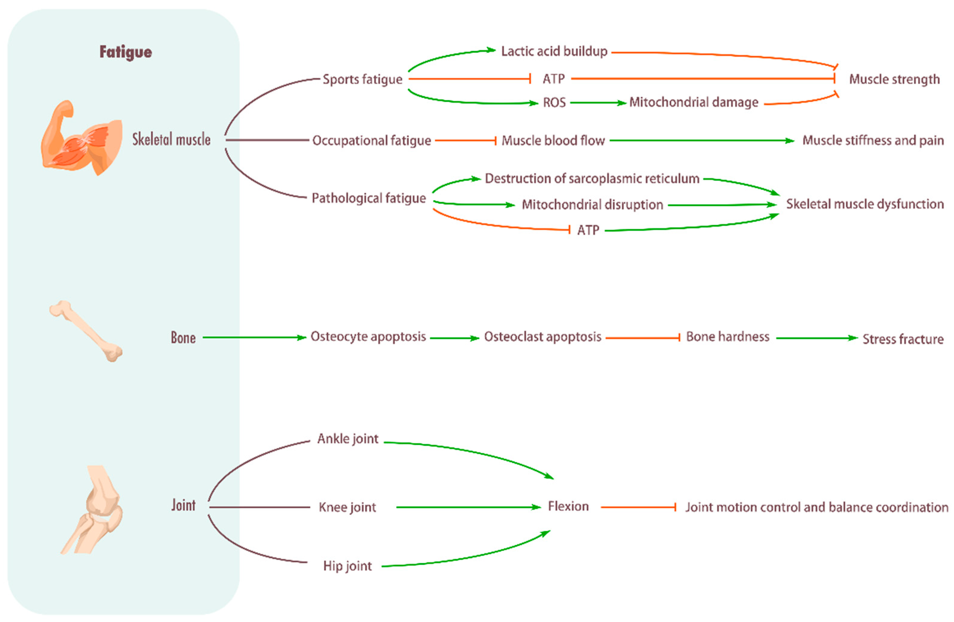 Biomolecules 15 01476 g001