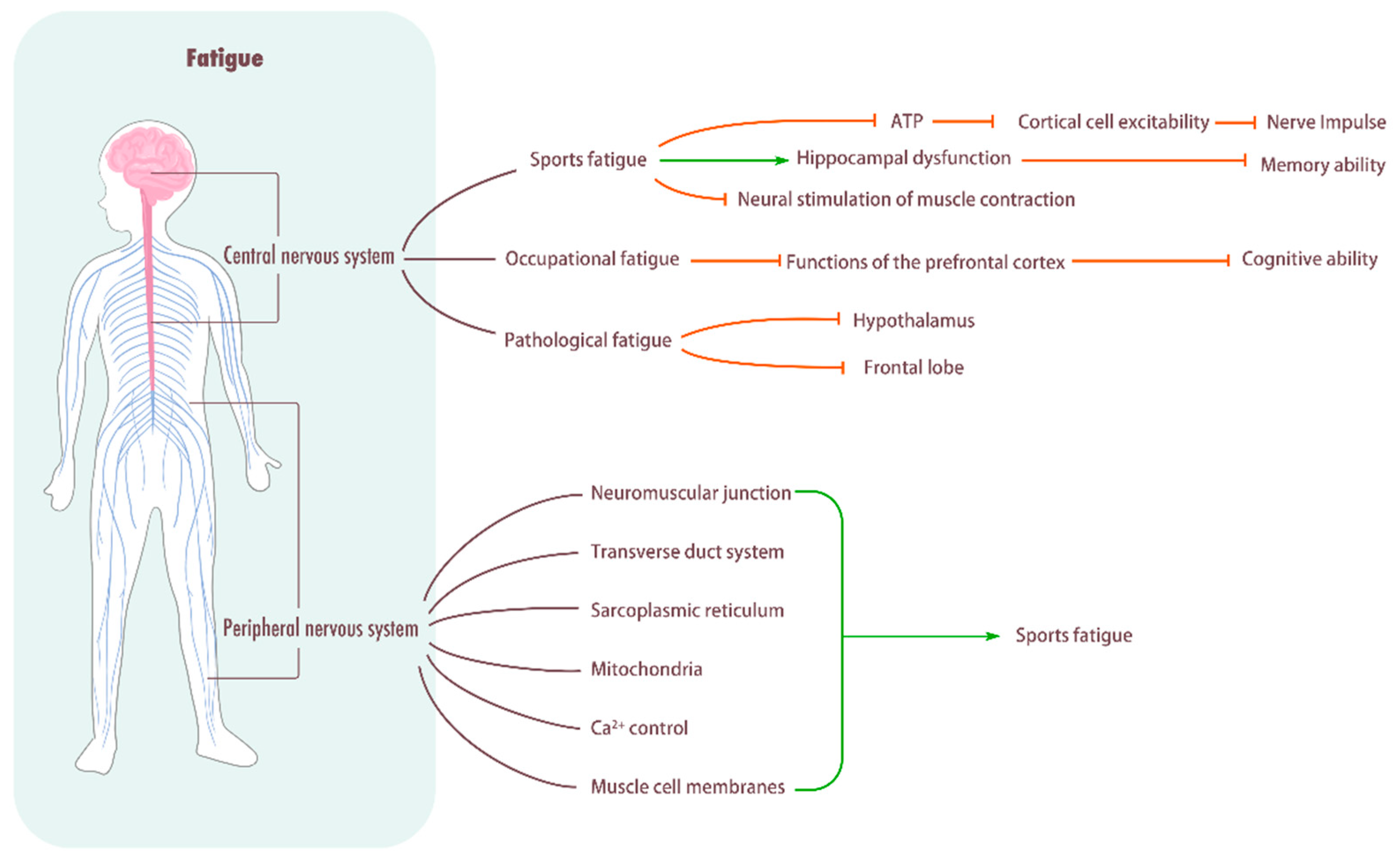 Biomolecules 15 01476 g002