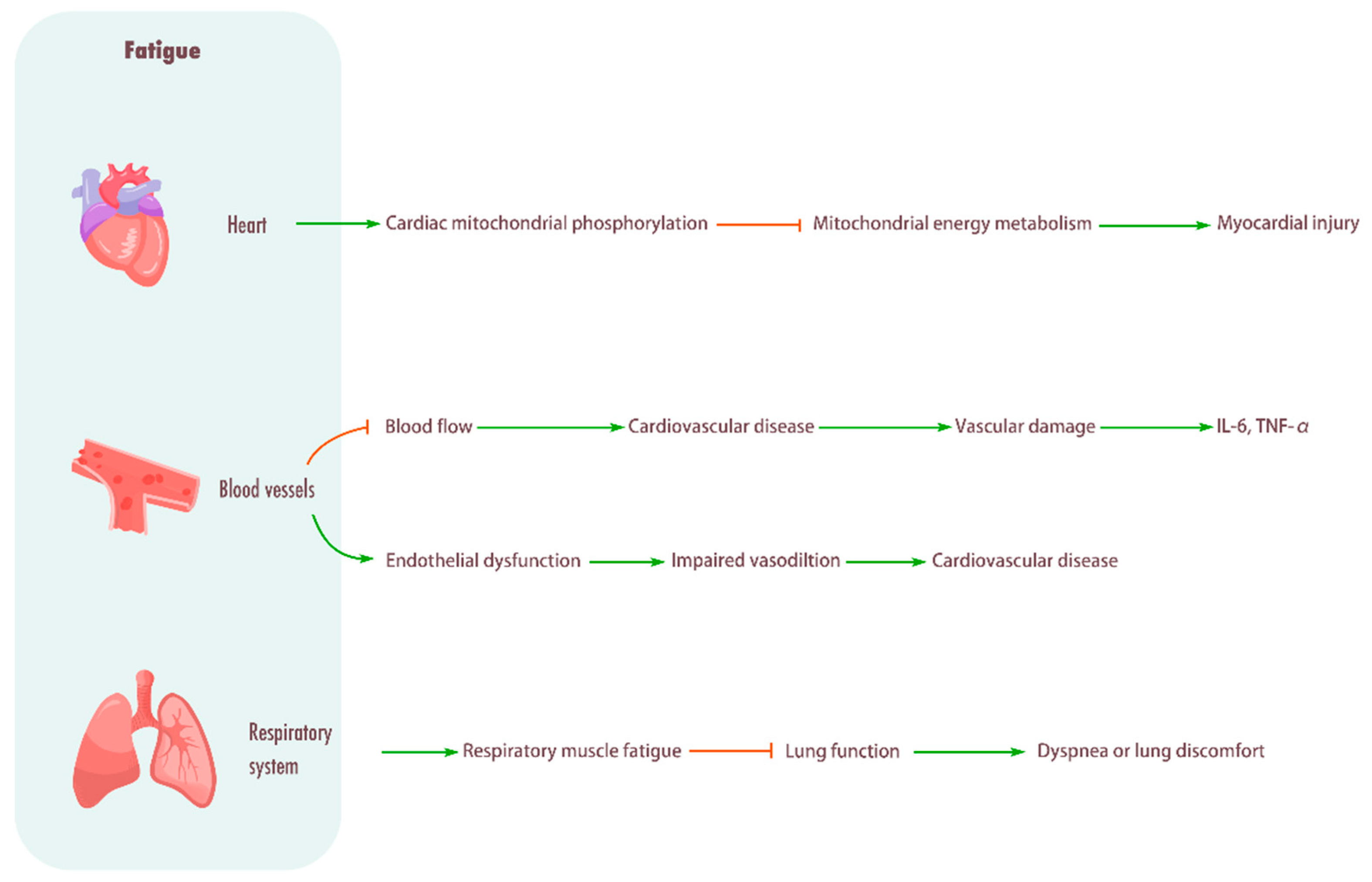 Biomolecules 15 01476 g003