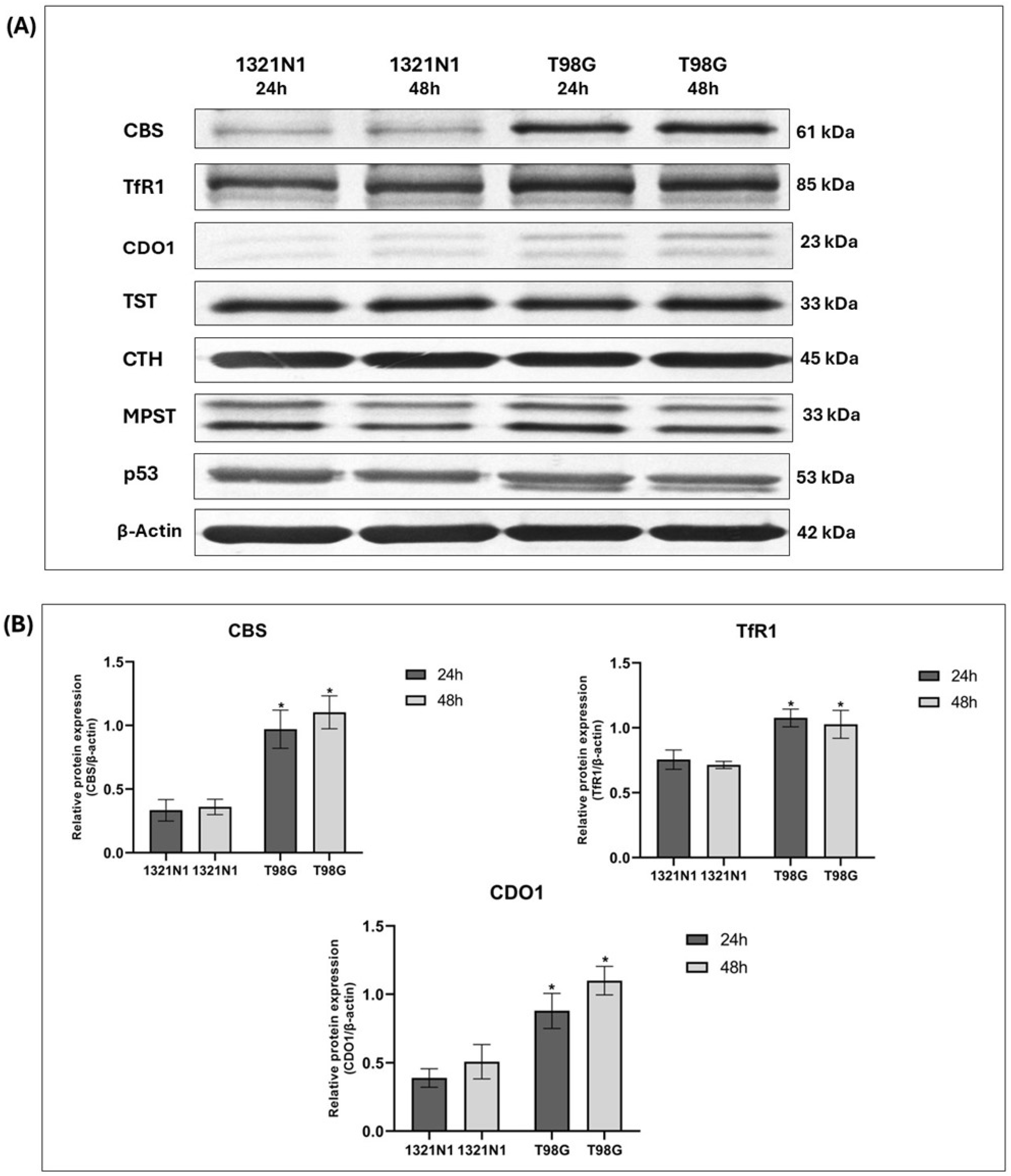 Biomolecules 15 01478 g003a Biomolecules 15 01478 g003a