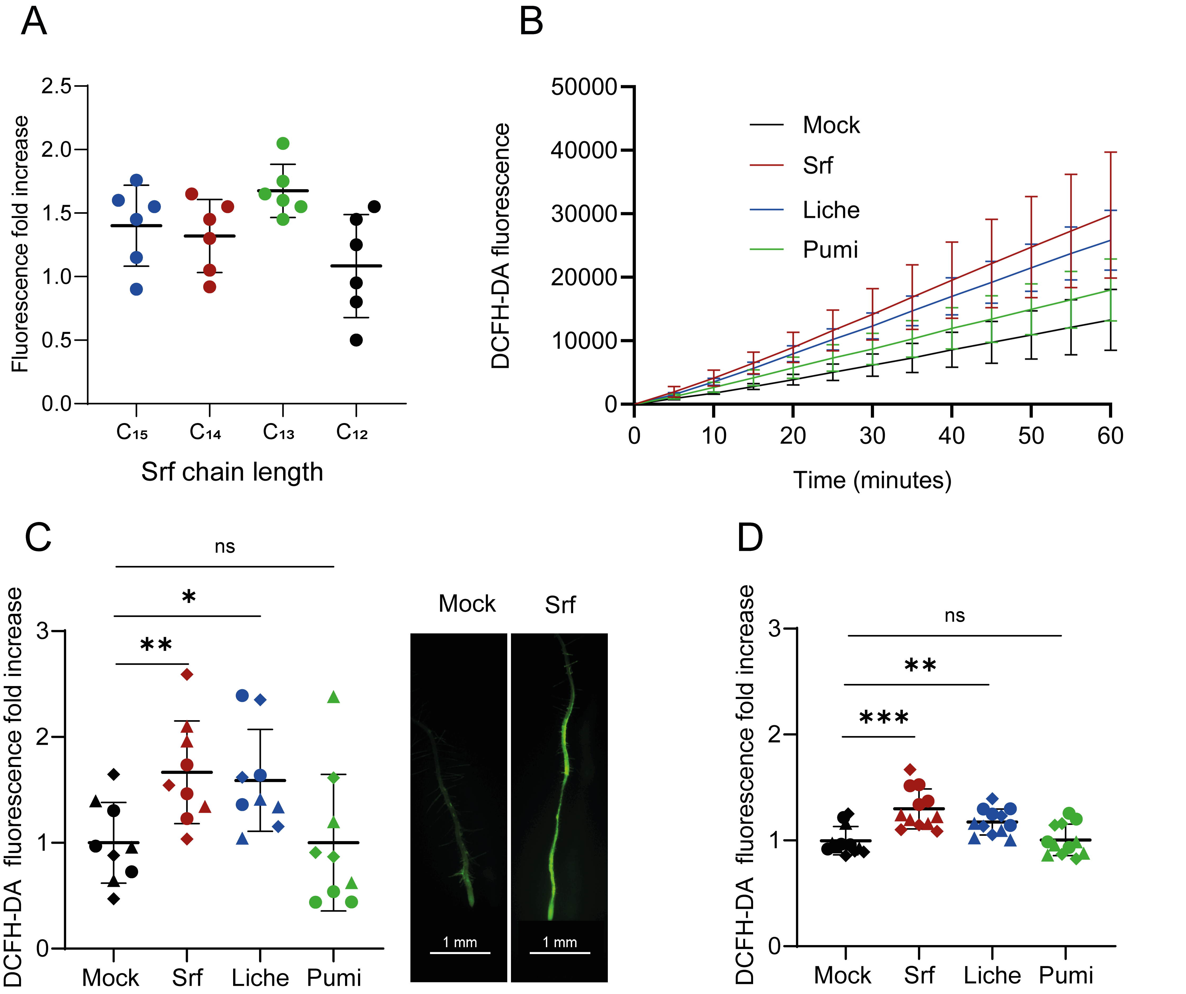 Biomolecules 15 01479 g002 Biomolecules 15 01479 g002
