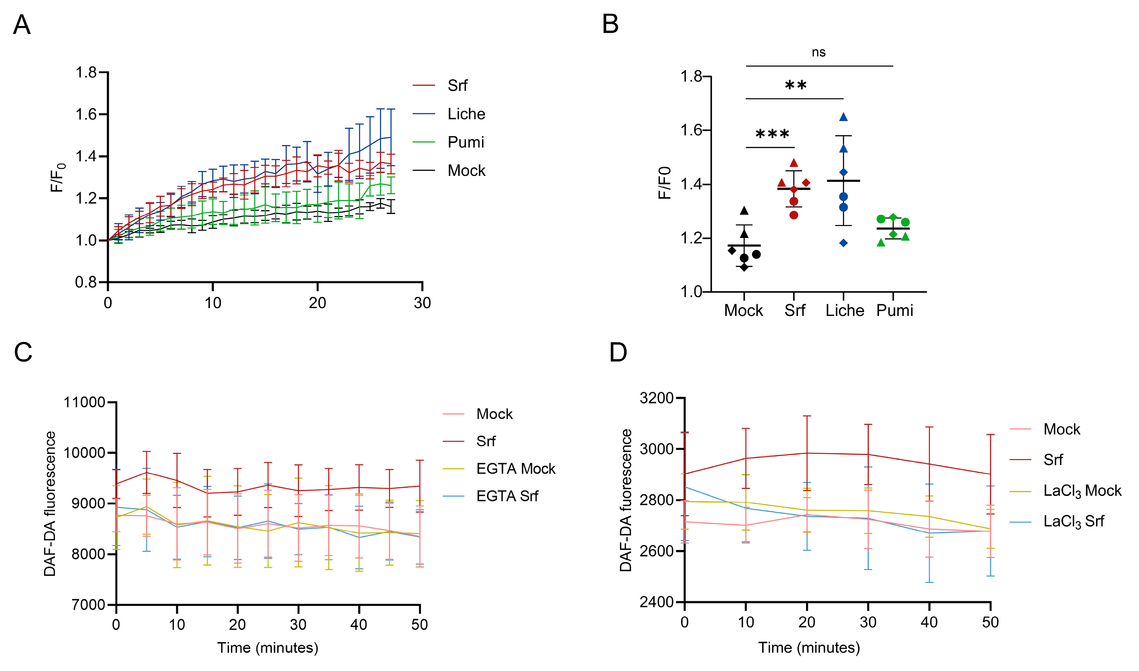Biomolecules 15 01479 g004 Biomolecules 15 01479 g004