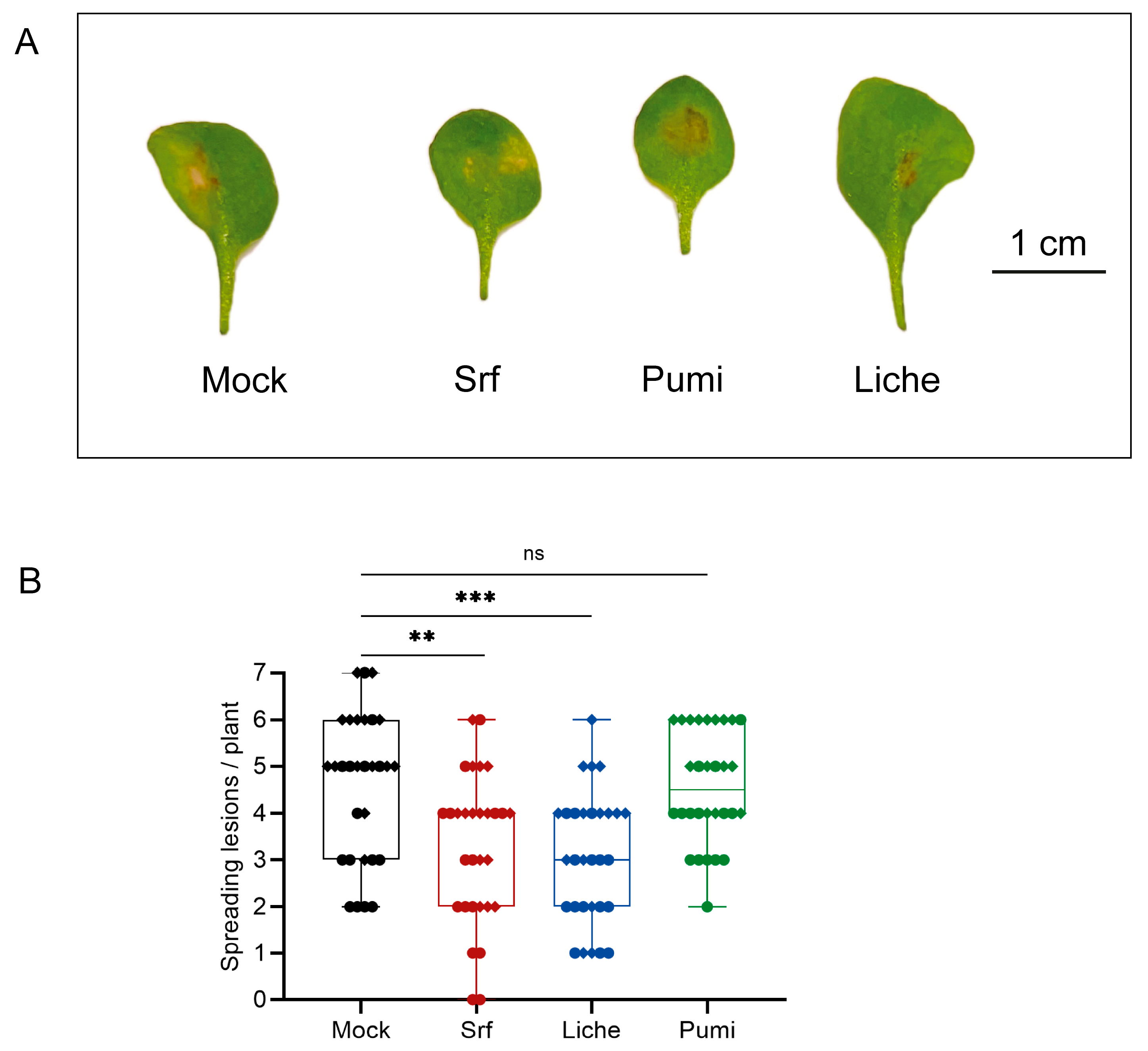 Biomolecules 15 01479 g005 Biomolecules 15 01479 g005